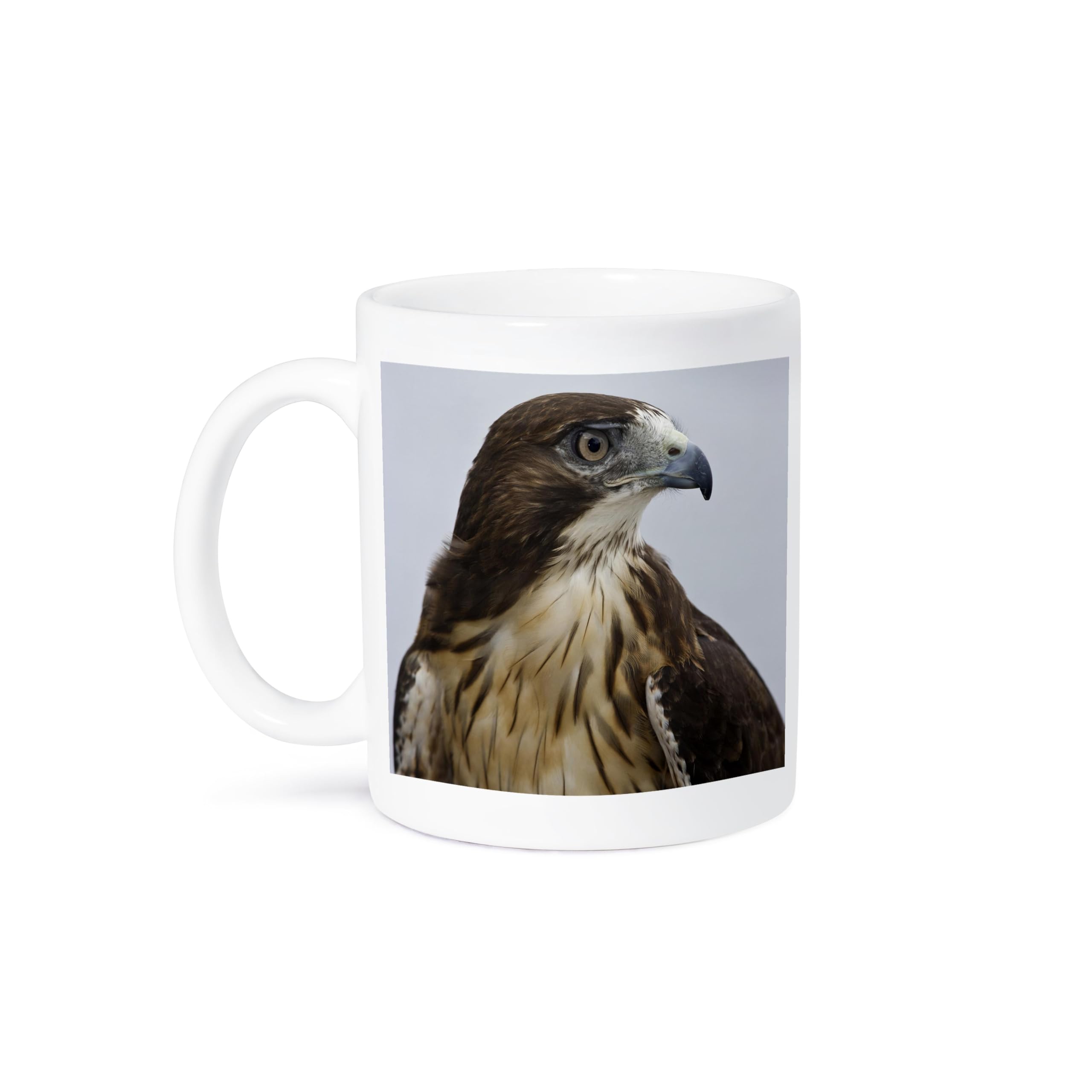 3dRose USA, Alaska, Ketchikan. Red-tailed hawk bird - US02 BJA0235 - Jaynes Gallery 15oz Mug