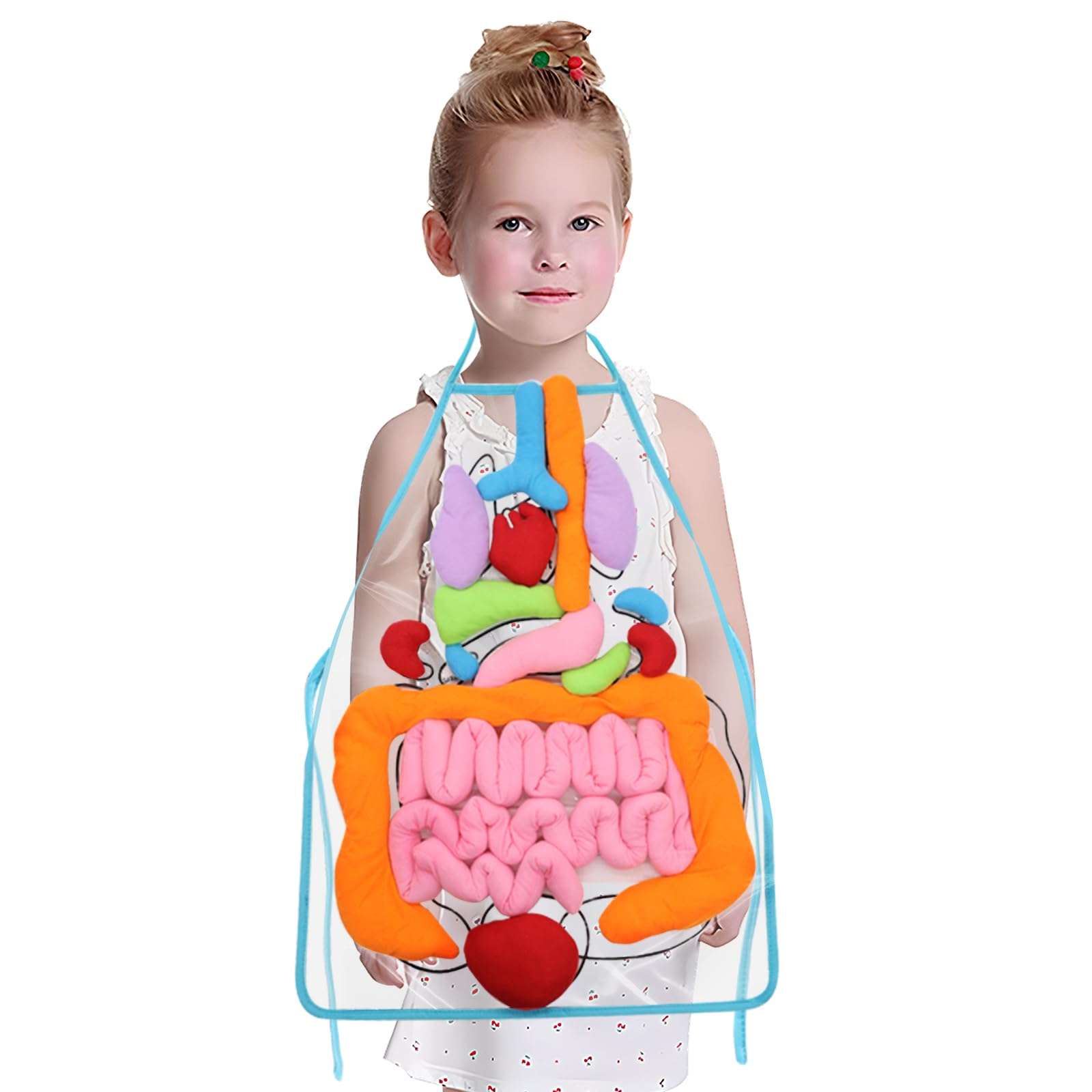 KAKIBLIN 3D Organ Apron,(Upgrade Version) Anatomy Apron Human Body Organs Awareness Educational Toy for Home Preschool Teaching Aid, Transparent 1