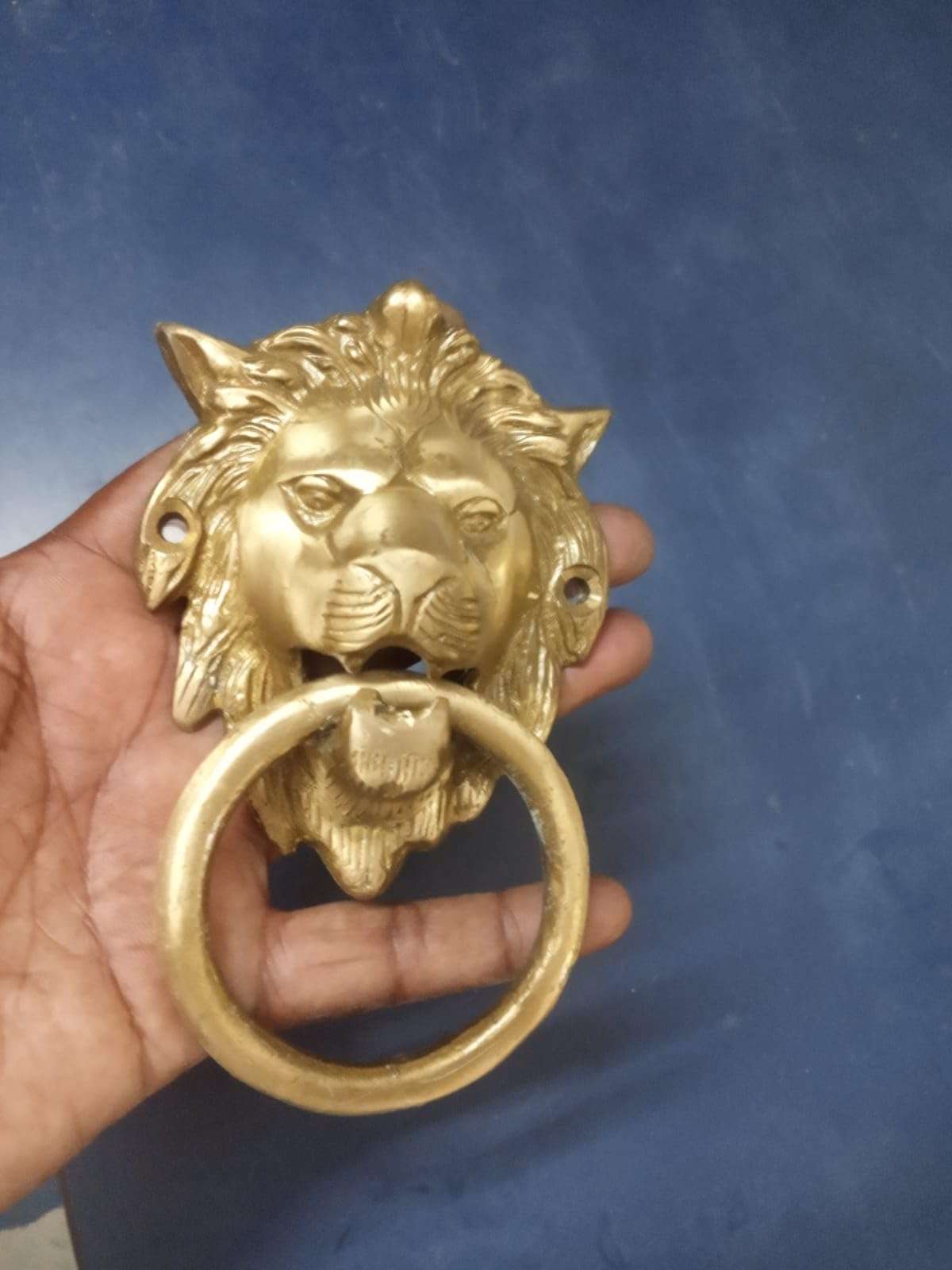 Brass Decore Loin Door Knowcer 5