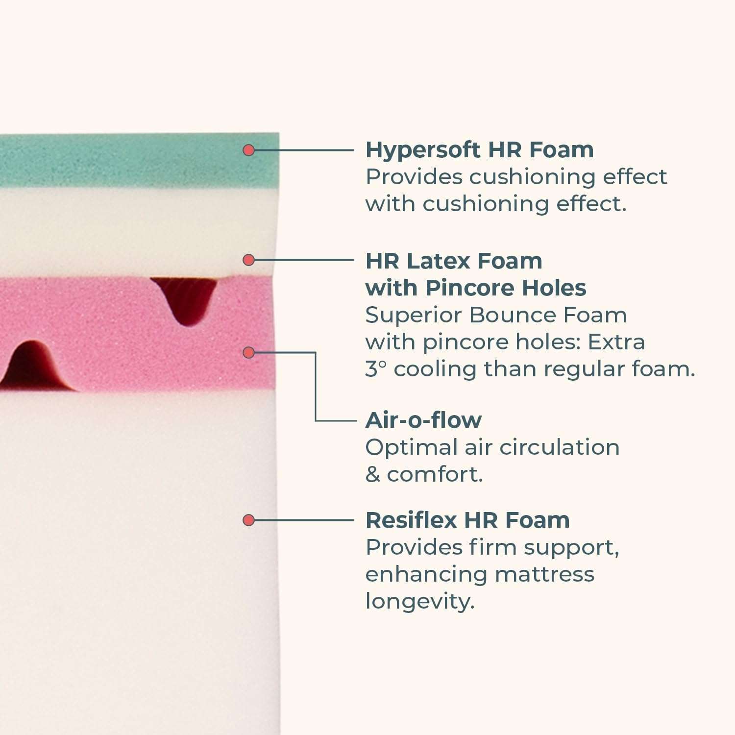 UrbanBed LatexCore Support Single Bed Mattress | 15-Year Warranty | HR Latex Foam with Pincore Holes | Dual Side Mattress | UltraFresh Treated Cover | 120-Night Trial (78"x36"x10") Firm & Medium Soft 4