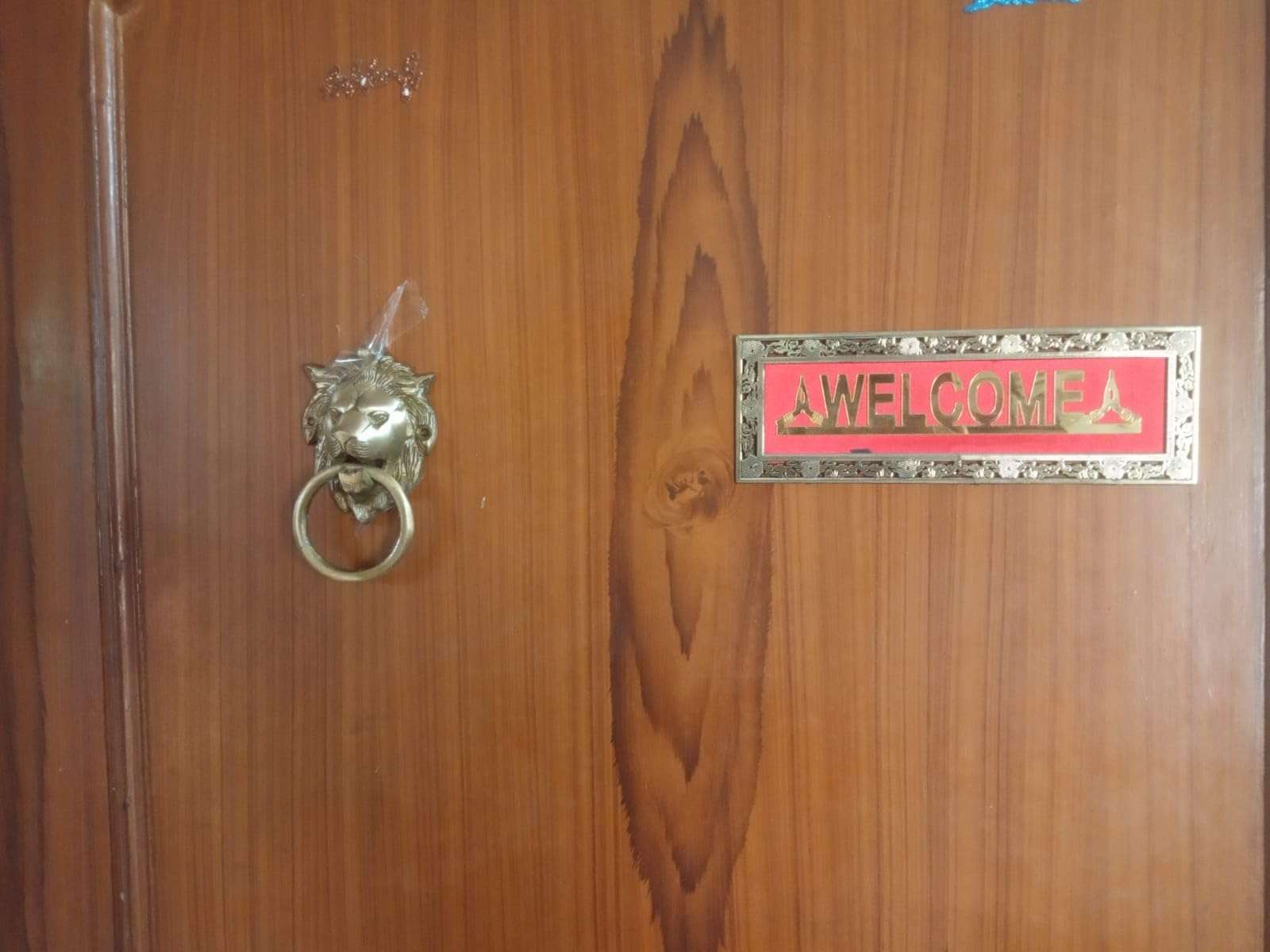 Brass Decore Loin Door Knowcer 3