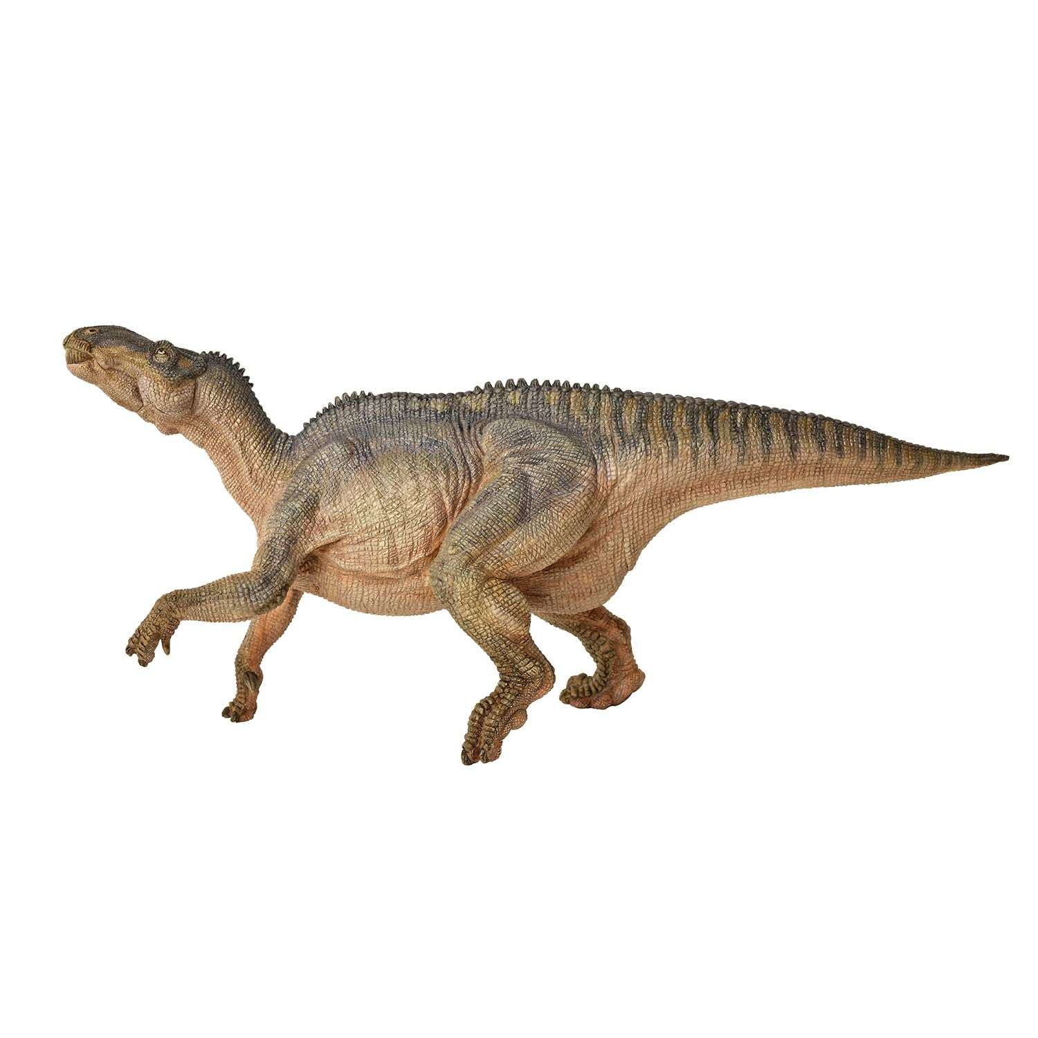 Papo - Iguanodon - Realistic Figurine - for Ages 3+ - Dinosaurs Collection - Hand Painted - Highly Detailed - Durable and Educational - Gift Idea - Collectable - Iguanodon Toy - Dinosaur Figurine 3