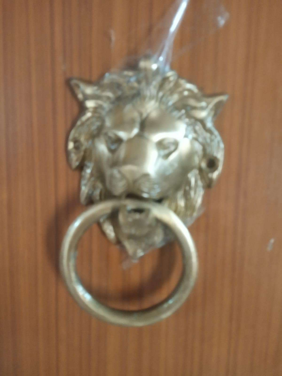 Brass Decore Loin Door Knowcer 4