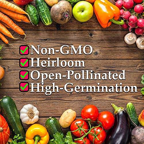 VibeX Rigid Gourd,Torai-100 Seeds 6