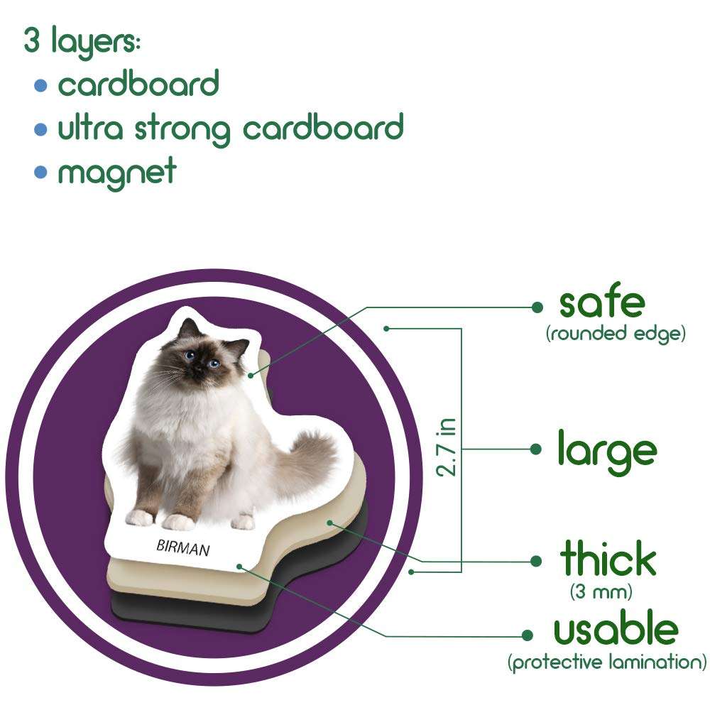 magdum Photo Cats Breeds- Animal Magnets for Kitchen -Real Large Fridge Magnets for Toddlers- Magnetic Educational Toys Baby 3 Year Old Baby - Learning Magnets for Kids- Kid Magnets Magnetic Theatre 3