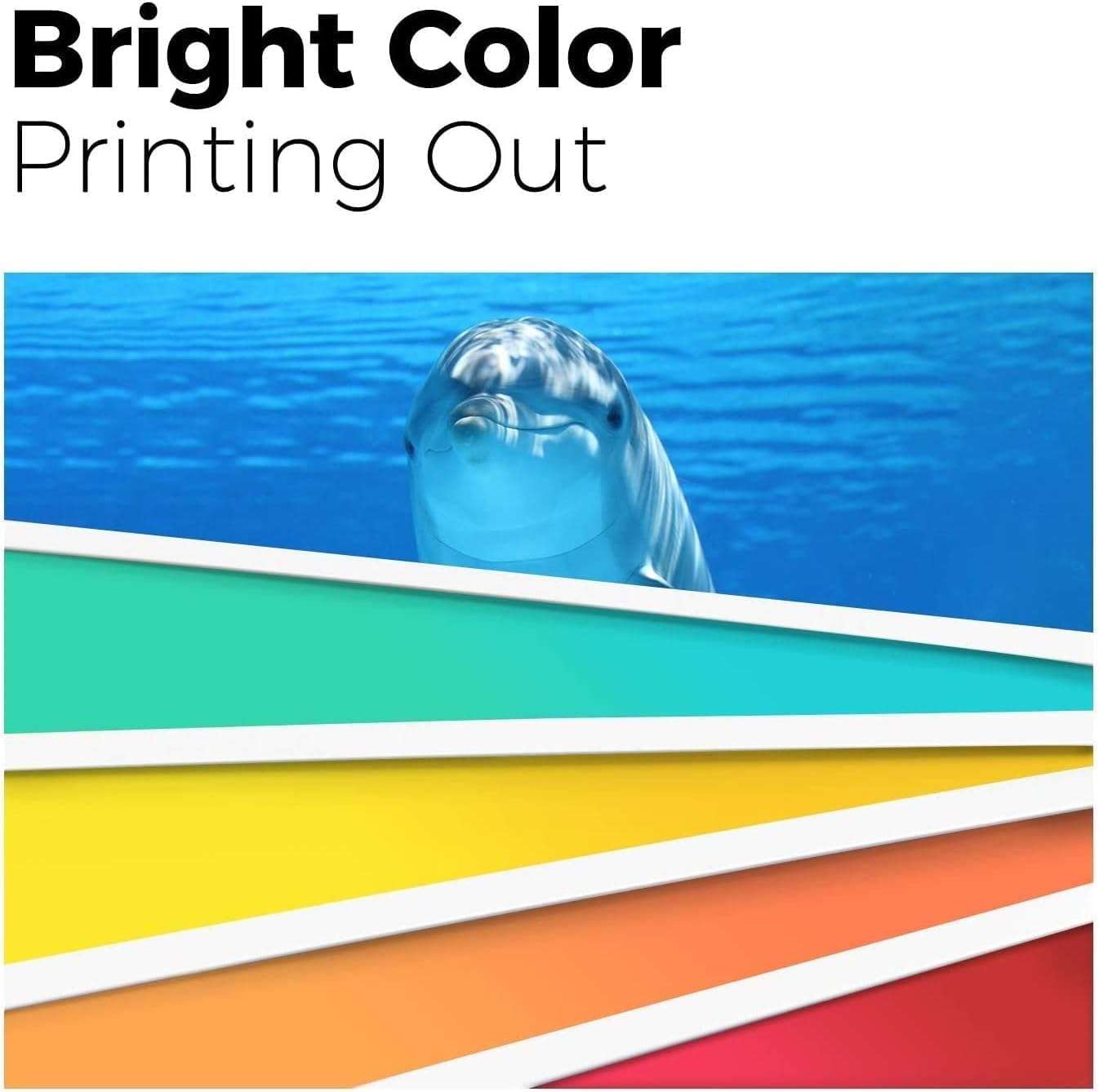 myCartridge 220XL Ink Cartridges Remanufactured for Epson 220 Ink Cartridges T220 T220XL Replacement for Epson 2760 Ink Compatible with WF-2630 WF-2650 WF-2750 WF-2760 XP-320 XP-420,4-Pack(BK/C/M/Y) 6