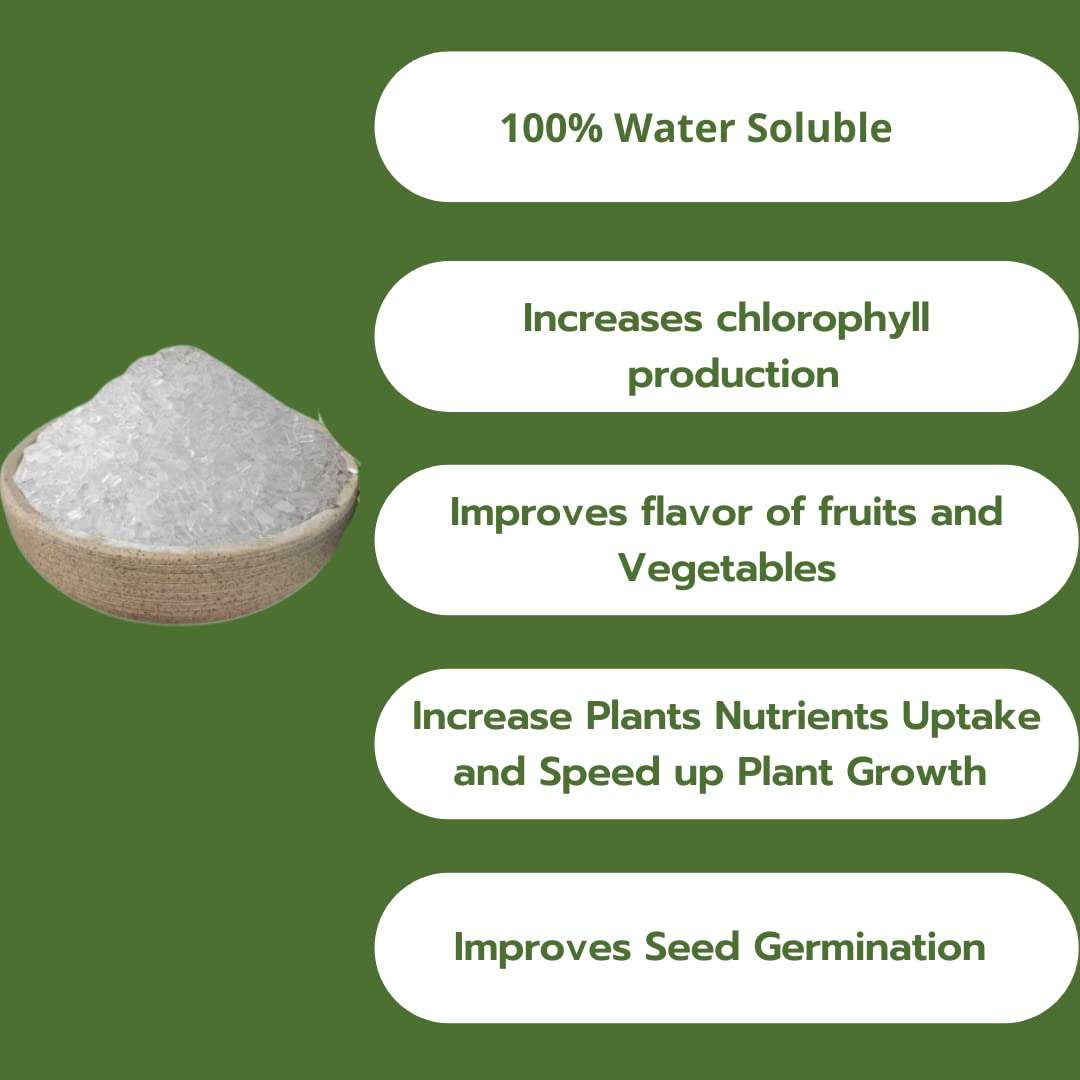 Farmgokart | Agri Grade | Epsom Salt Magnesium Sulphate | for Plant Growth and Plant Nutrient | 100% Water Soluble | (450 GMS) 2