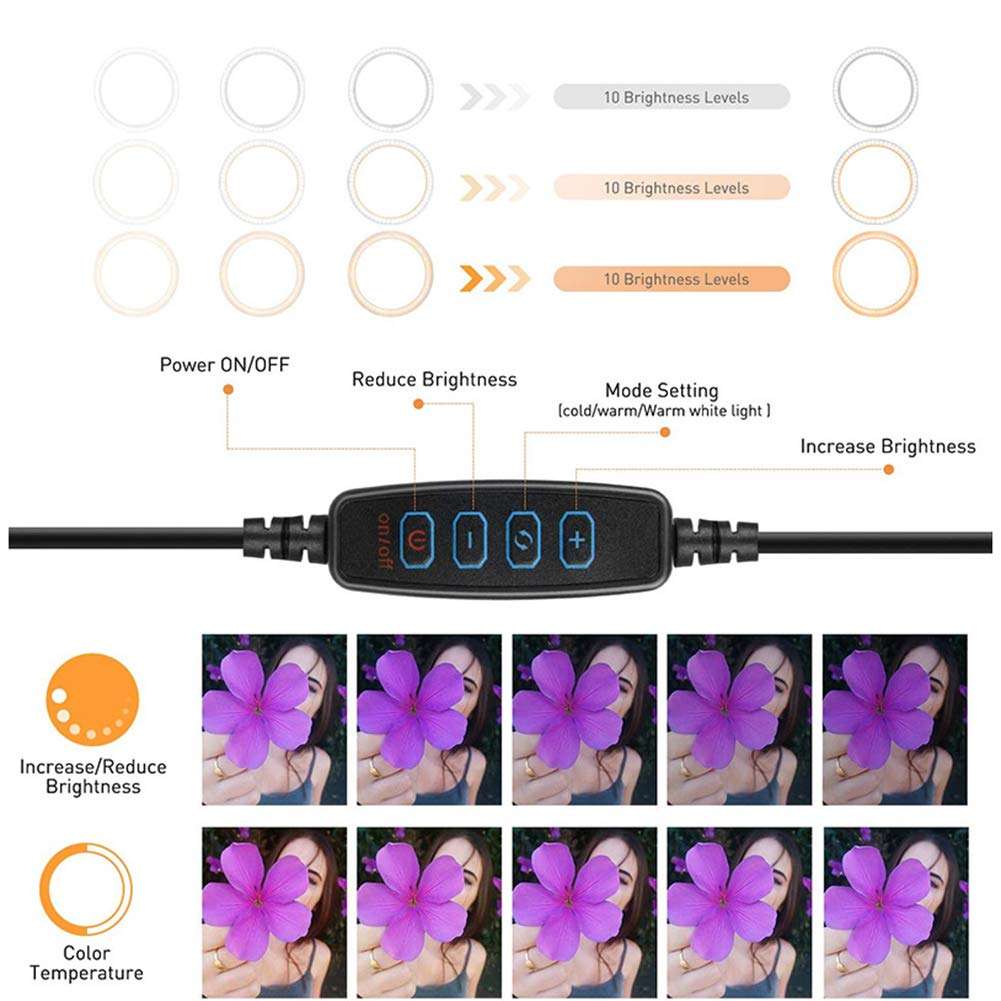 angel3292 6/10 Inch LED Ring Light,Ring Light Tripod Photo Video LED Lighting Desktop Adjustable LED Ring Light Camera Phone Live Studio Fill Lamp 1# 5