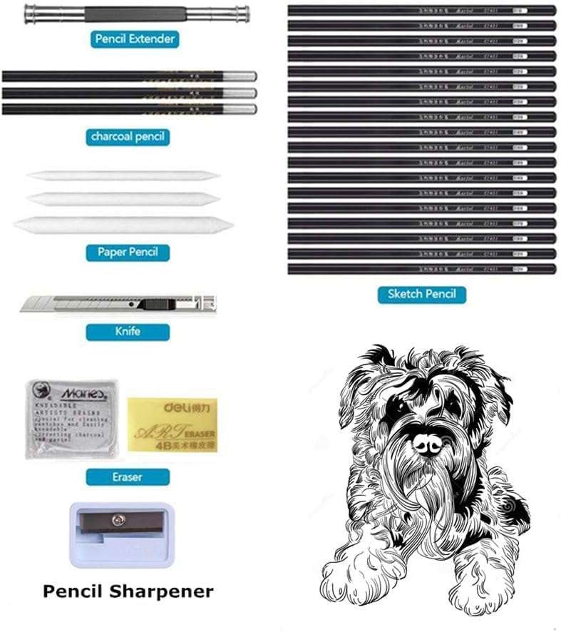 Stodern 29-Piece Artist Sketching & Drawing Pencil Set - Includes Graphite Pencils, Charcoal Pencils, Erasers, Paper Erasable Pen, Craft Knife, Canvas Carry Bag Complete Art Tool Kit for Beginners 4
