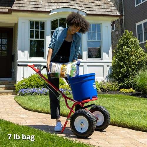 Jonathan Green (10322) Black Beauty Ultra Grass Seed - Cool Season Lawn Seed (7 lb) 4