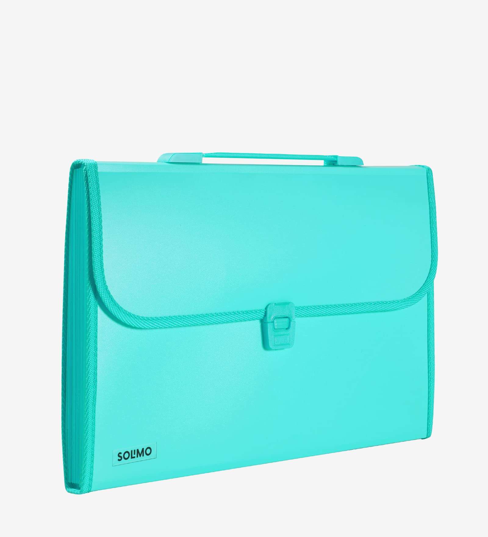 Amazon Brand - Solimo Plastic Expanding File Folder with 13 Pockets, Handle, and Buckle Closure, for A4 Size Documents (Green) 3