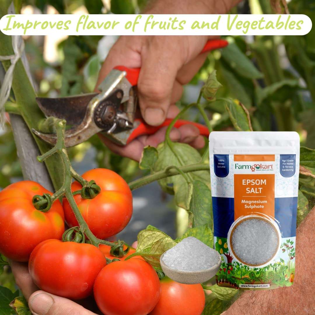 Farmgokart | Agri Grade | Epsom Salt Magnesium Sulphate | for Plant Growth and Plant Nutrient | 100% Water Soluble | (450 GMS) 3