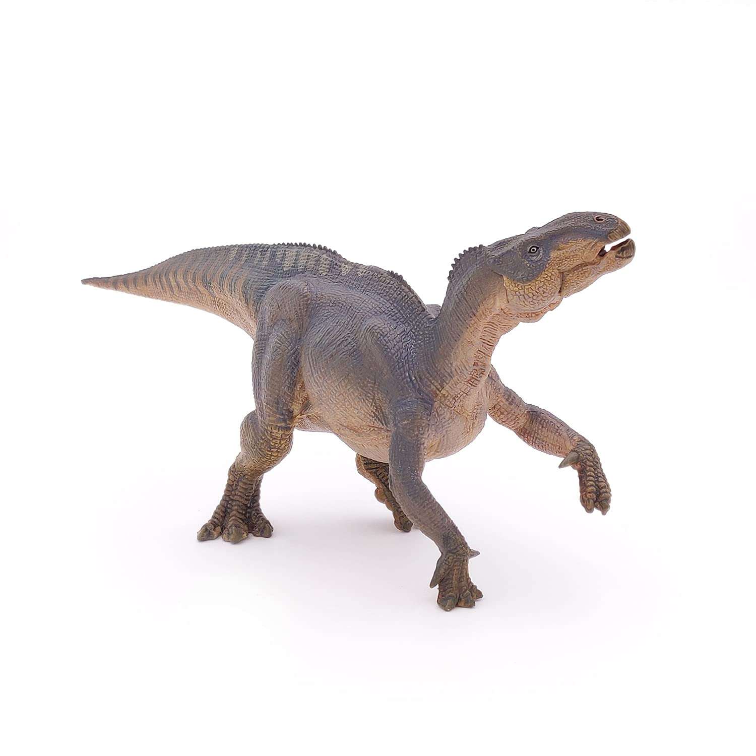 Papo - Iguanodon - Realistic Figurine - for Ages 3+ - Dinosaurs Collection - Hand Painted - Highly Detailed - Durable and Educational - Gift Idea - Collectable - Iguanodon Toy - Dinosaur Figurine 5