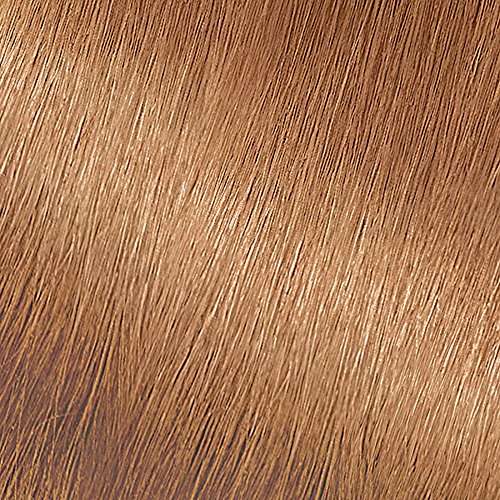 Garnier Nutrisse Nourishing Hair Color Creme, 73 Dark Golden Blonde (Honey Dip) (Packaging May Vary) 2