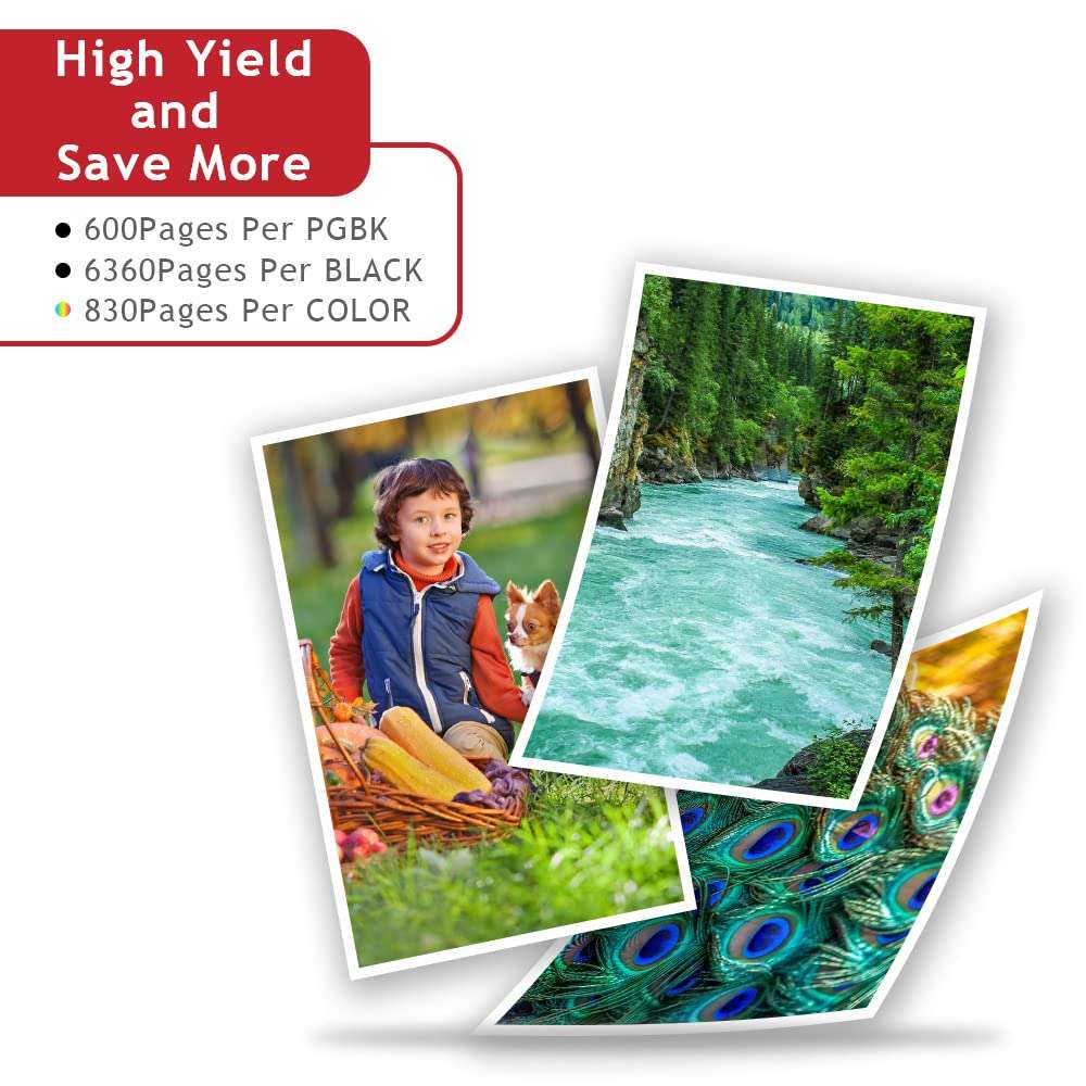 PGI-280 XXL/CLI-281XXL Compatible Ink Cartridges Replacement for Canon 280 281 Ink Cartridges PGI-280XXL CLI-281XXL Ink Canon PIXMA TR8520 TR8620 TS6120 TS6320 TS8220 TS8320 TS9120 Printer (5 Pack) 3