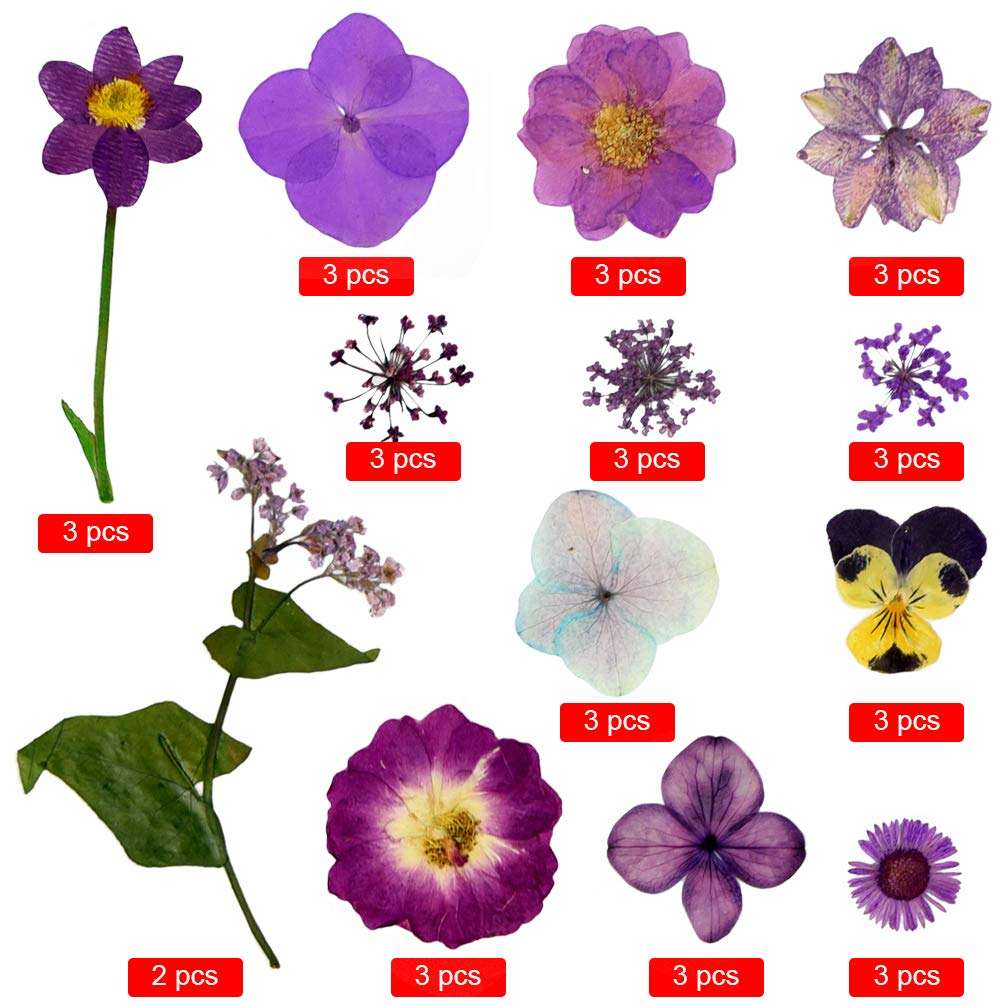 Natural Dried Flowers Mixed Multi-Color Pressed Flower Mini Rose Hydrangea Daisy for Art Craft DIY Resin Nail Art Floral Decors (Purple) 3