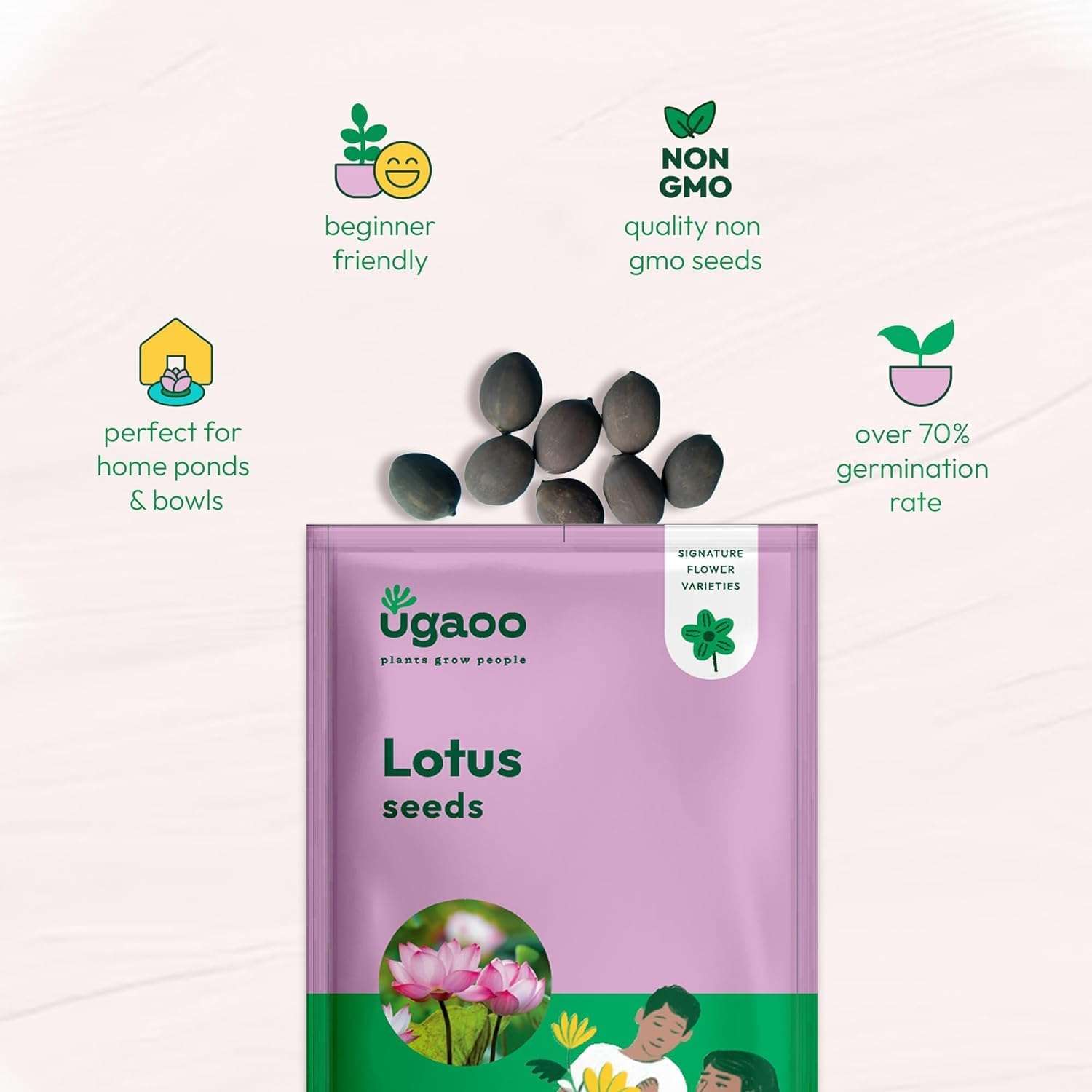 Ugaoo Lotus Seeds for Planting with Sandpaper - Pack of 20 Seeds | High-Germination Lotus Seeds for Planting in Water, Home Garden & Ponds 5