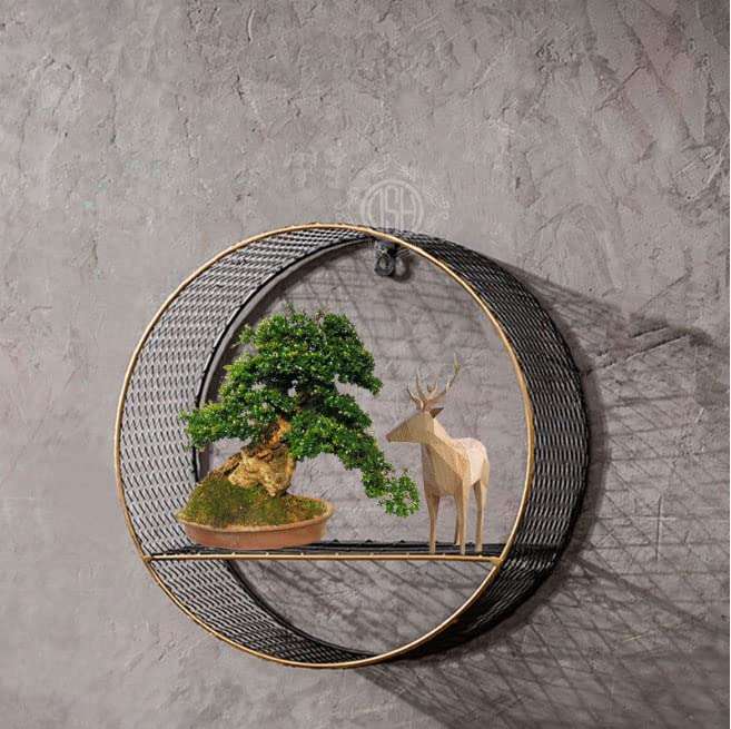 DSH CRAFTING YOUR CURIOSITY Metal Multipurpose Wall Racks Shelves Set of -3 Hanging Floating Decorative Wire Large Round Wall Mounted Shelf (Shelf-01-i-jaliR-3P) 6