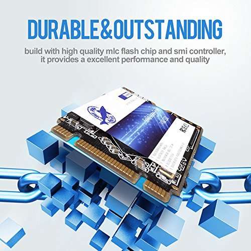 Dogfish SSD M.2 2242 1TB NGFF Unit?a Stato Solido Interne Drive Disk Internal Interno Solid State Drive Laptop Hard Drive M2 M.2 (M.2 2242 1TB) 5
