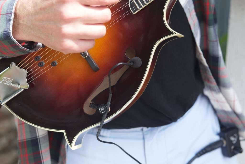 Myers Pickups The Feather F-Style Mandolin Pickup with Flexible Micro-Gooseneck 4