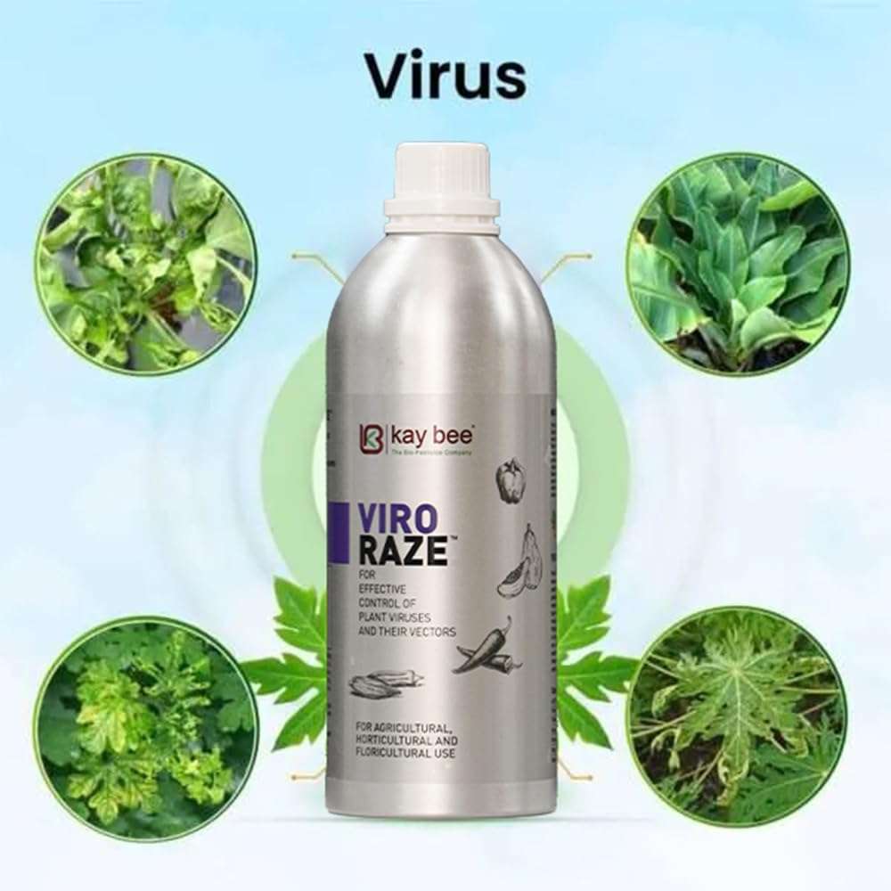 Kay Bee Viro Raze, A Botanical Bio Viricide To Control Viral Diseases in Chili, Tomato, Papaya & More, Boosts Resistance Growth & Yield, Organic Residue-Free, Healthy Plants Healthy You -1lit 3