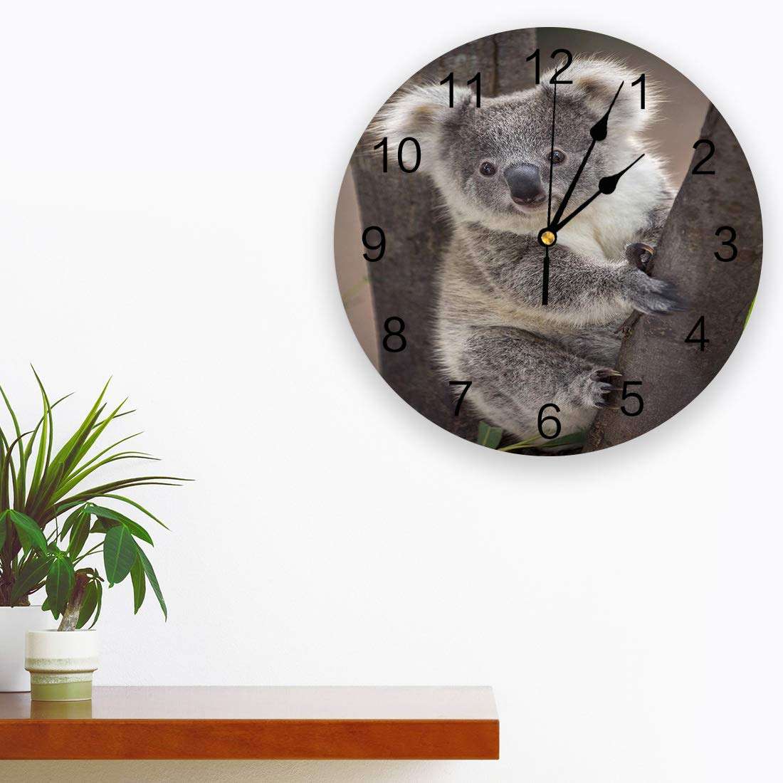 CosyBright Silent PVC Wall Clock 12 Inch Round Wall Clock Koala Bear Australia Wild Animals Hanging Clock for Kitchen Non Ticking Battery Operated Living Room Mute Clock 3