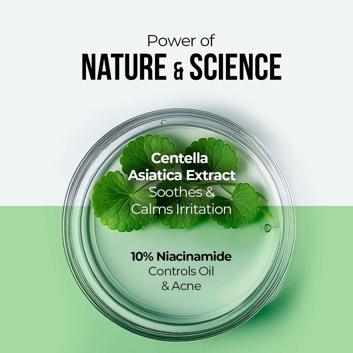 Dr. Sheth's Centella & 10% Niacinamide Face Serum | Oil & Sebum Control | Acne Scars, Acne Marks, Redness & Skin Irritation | Lightweight & Quick-Absorbing | Fades Discoloration & Improves Skin Texture | For All Skin Types | 30 ml 3