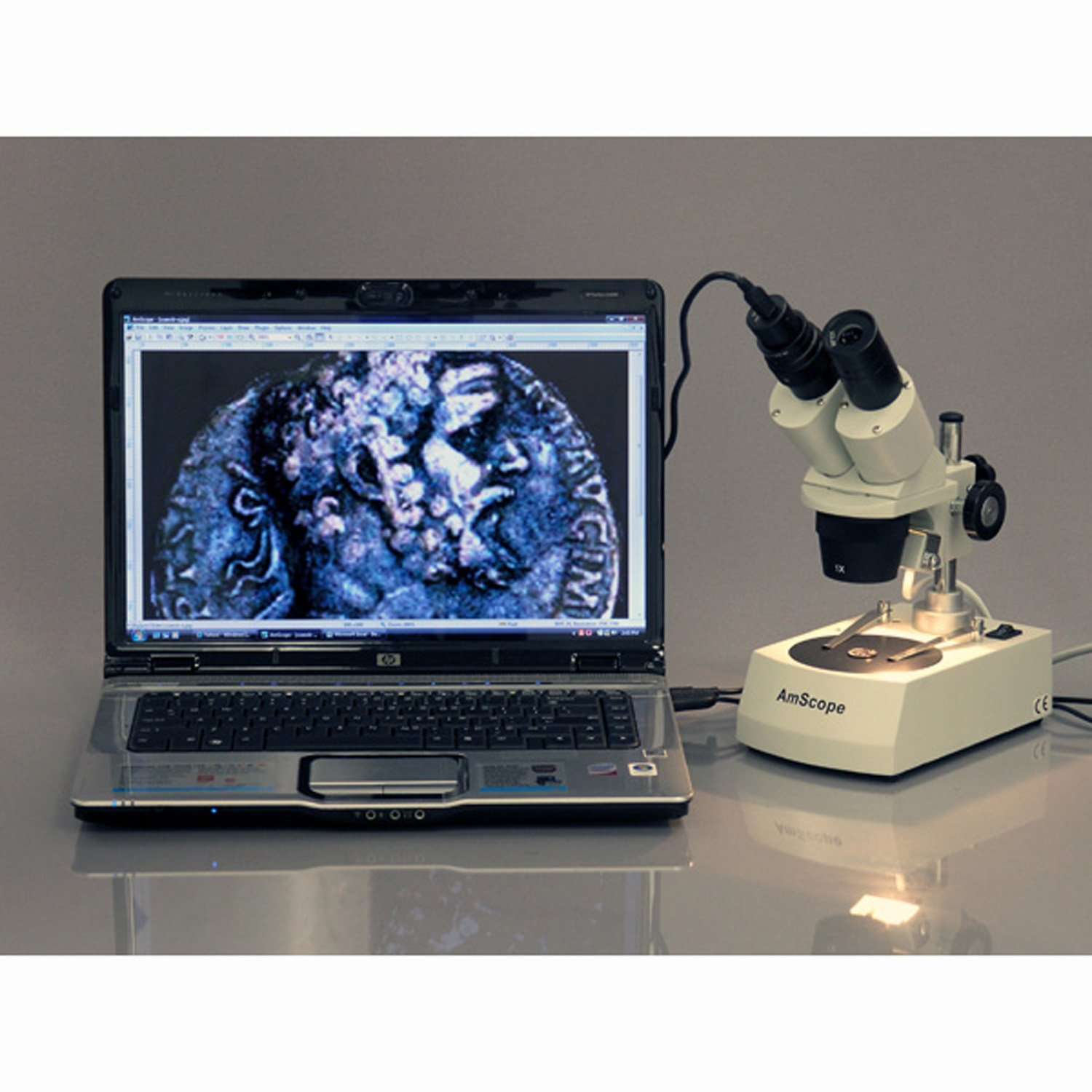 AmScope SE305R-P Forward-Mounted Binocular Stereo Microscope, WF10x Eyepieces, 10X and 30X Magnification, 1X and 3X Objectives, Upper and Lower Halogen Lighting, Reversible Black/White Stage Plate, Pillar Stand, 120V 2