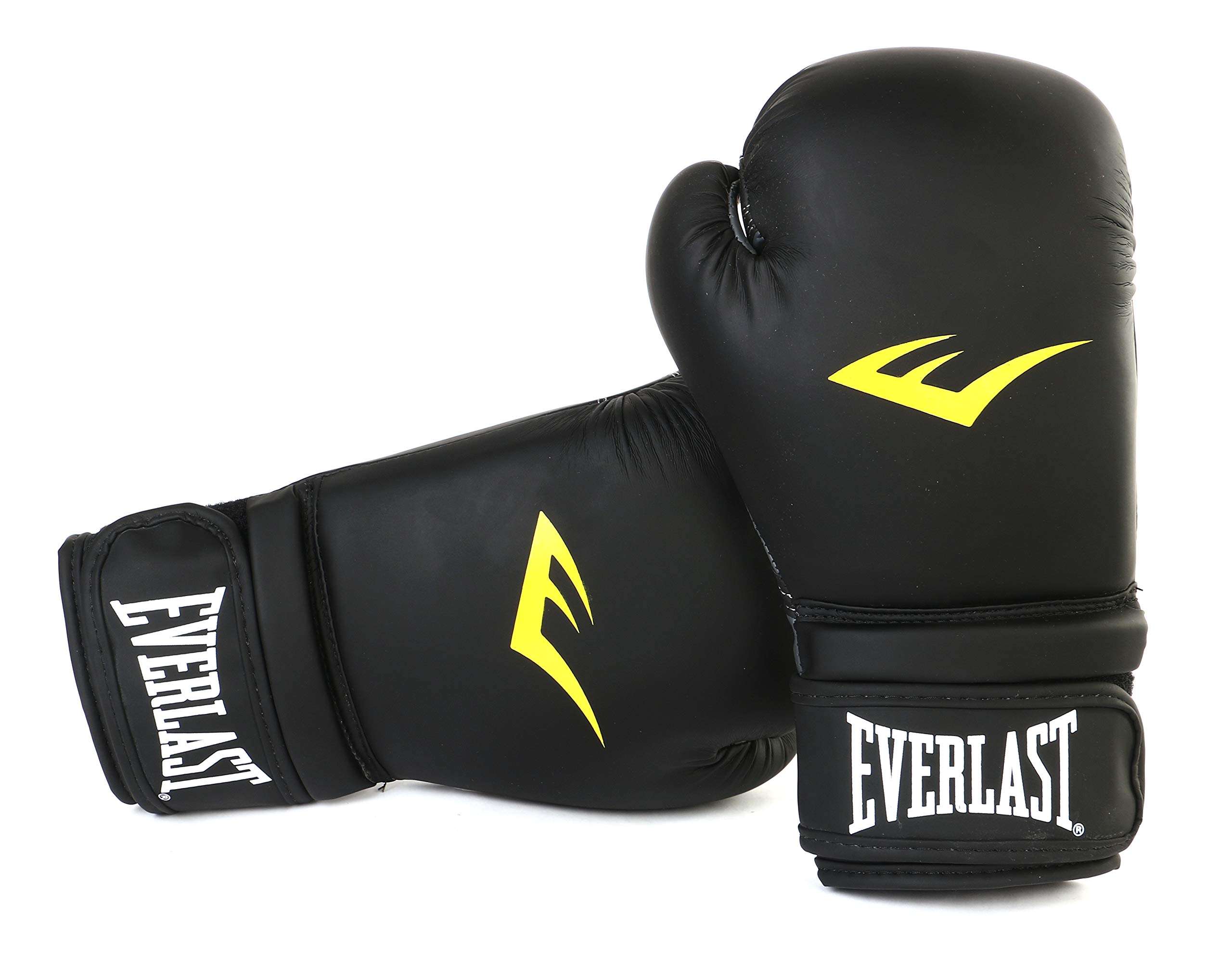 Everlast Matt Boxing Gloves with Injection Moulder.