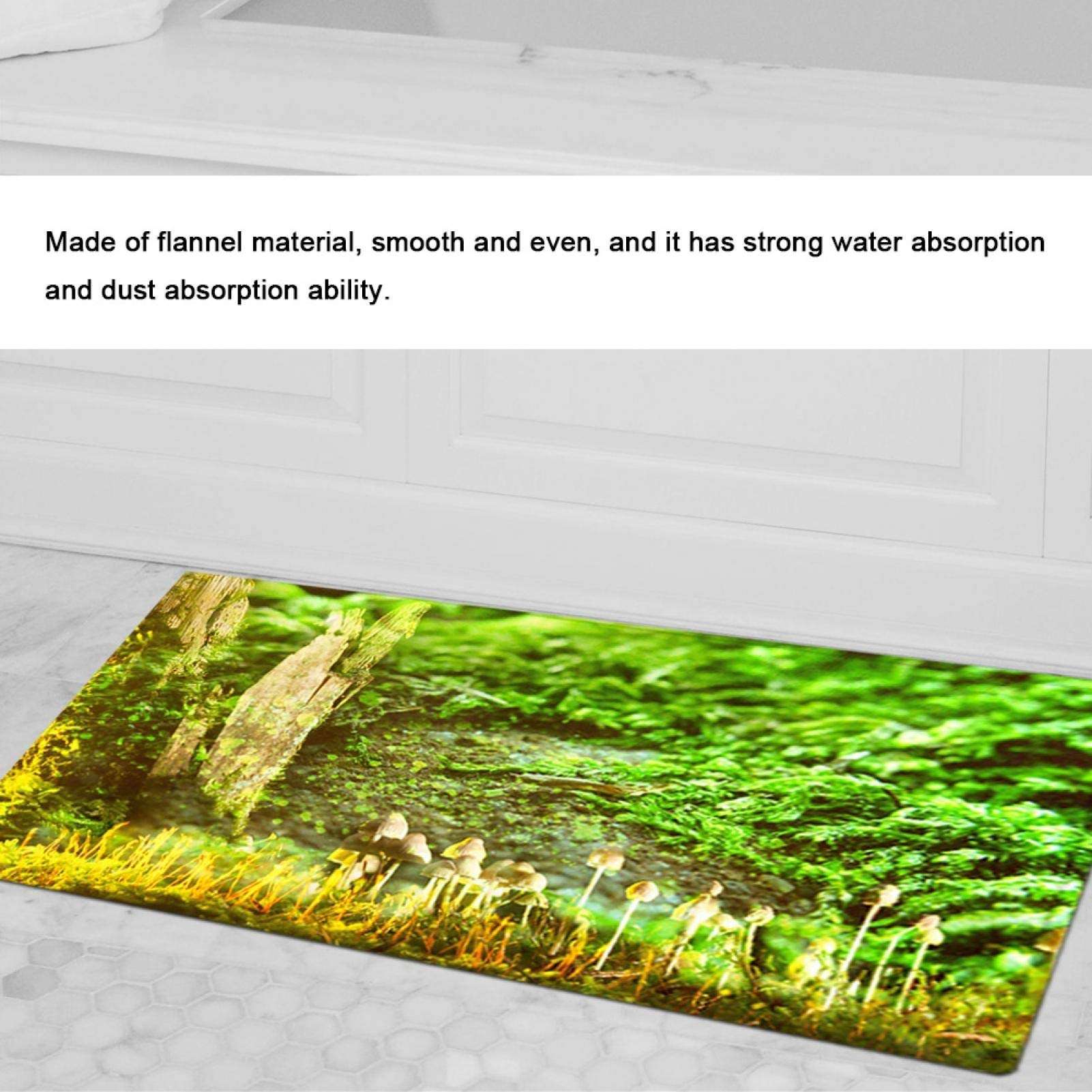 Indoor Door Mat, Super Absorbent Bathroom Carpet Non-Slip Non Slip Mat with Flannel Material for Bathroom Bedroom, Kitchen for Drying(80 * 50cm) 3