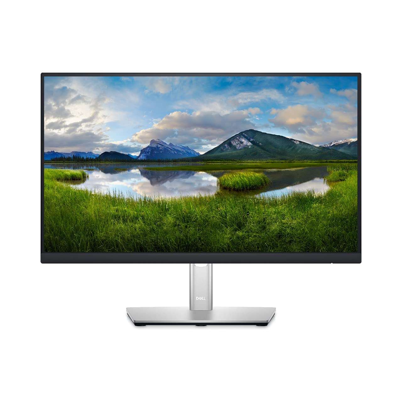 Dell Professional 21.5 inches Full HD Monitor, Wall Mountable, Height Adjustable, IPS Panel with HDMI, VGA DP and USB Ports (Resolution - 1920 x 1080 Pixels, Black) - P2222H