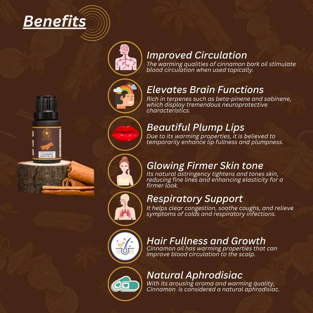 ULLASSA Cinnamon Bark Essential Oil | Improved Circulation, Brain Function, Plump Lips | Skincare, Haircare, Respiratory Wellness | 100% Pure & Natural | Cinnamomum Zeylanicum (Pack of 3) 4