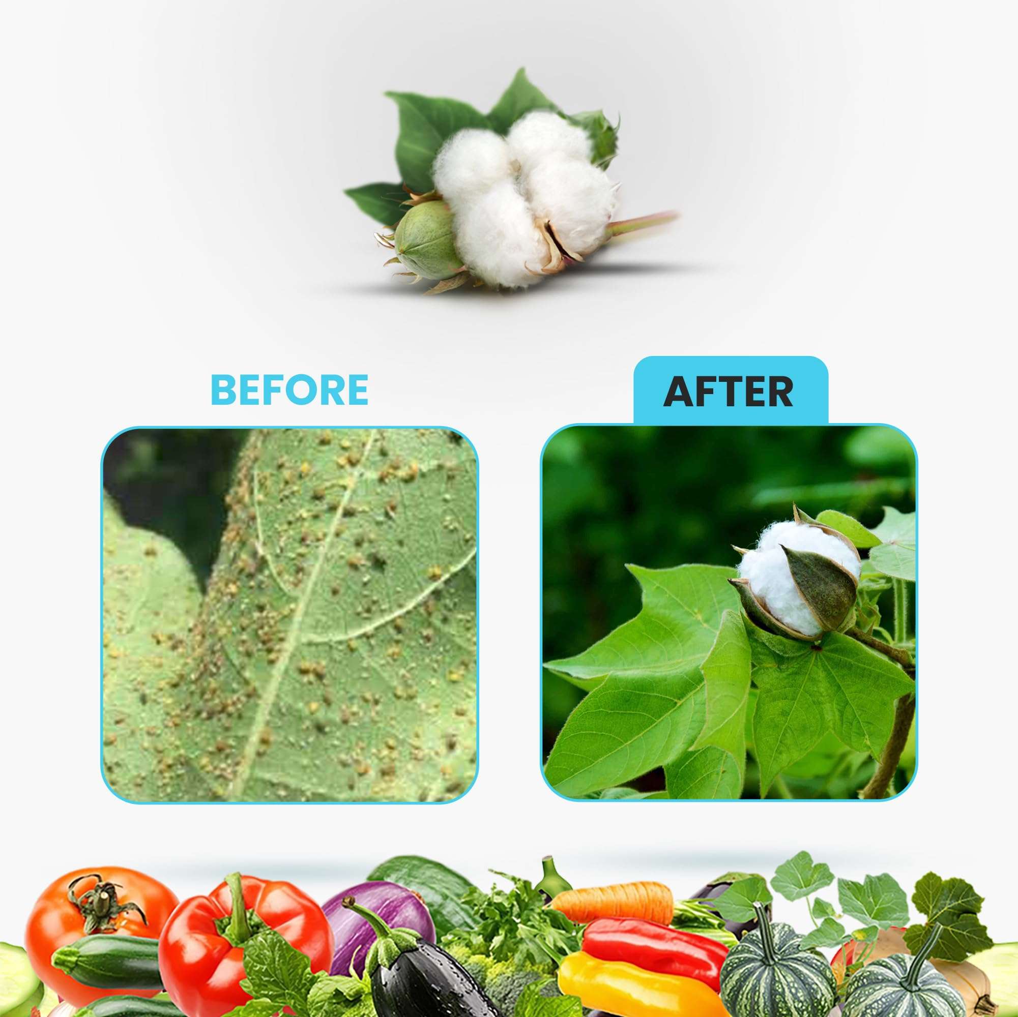 Kay Bee Organeem 3000 PPM | Water Soluble Neem Oil for Plant Care | Cold-Pressed Neem Oil for plant Growth | Useful for Indoor & Outdoor Plants, Flowers & Home Gardening - 5 Litre 5