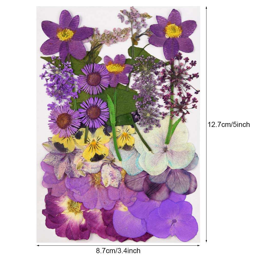 Natural Dried Flowers Mixed Multi-Color Pressed Flower Mini Rose Hydrangea Daisy for Art Craft DIY Resin Nail Art Floral Decors (Purple) 2