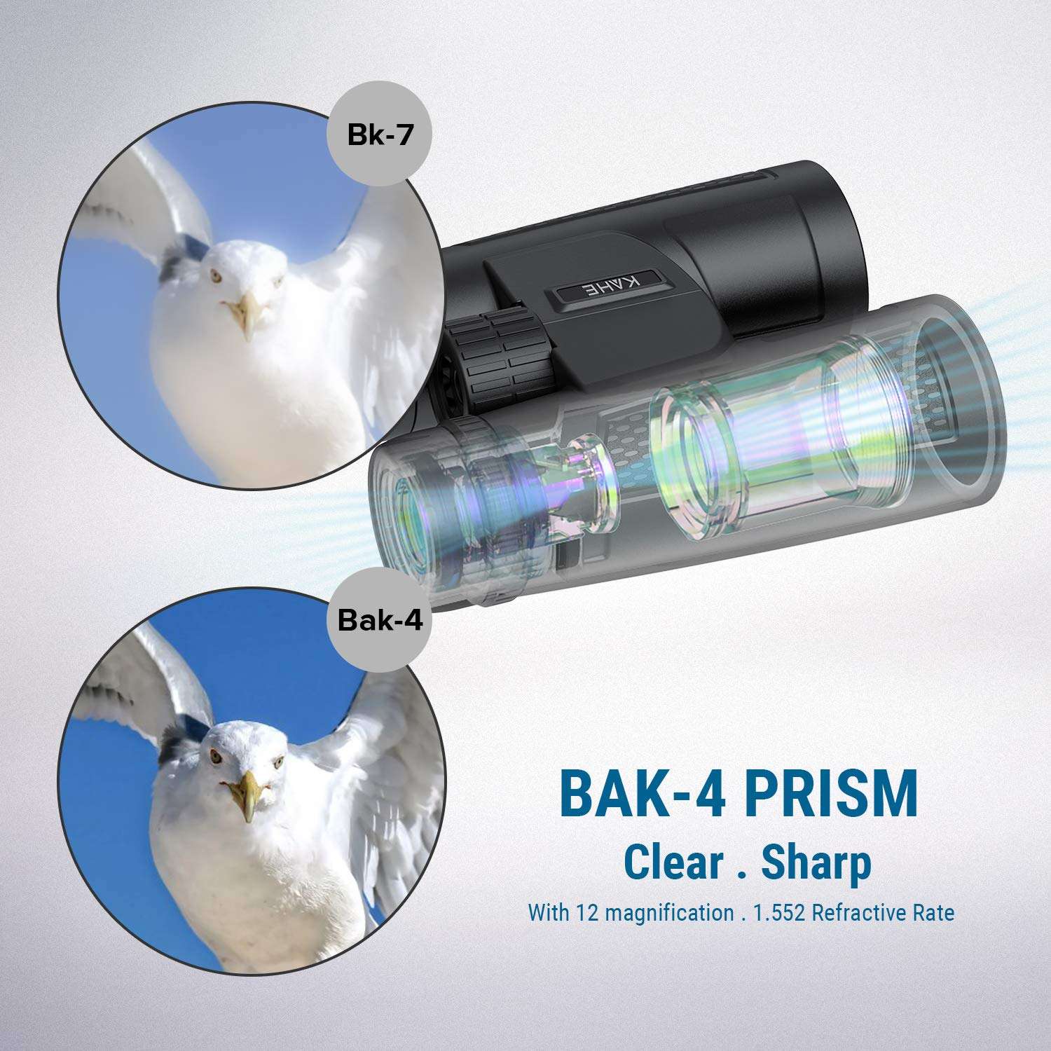 12x42 Binoculars for Adults with Smartphone Photograph Adapter, 18.5mm Large View Eyepiece, BAK4 Roof Prism FMC Lens, Compact Binoculars for Bird Watching Travel Hunting Concerts Sports (1.2 lbs) 4