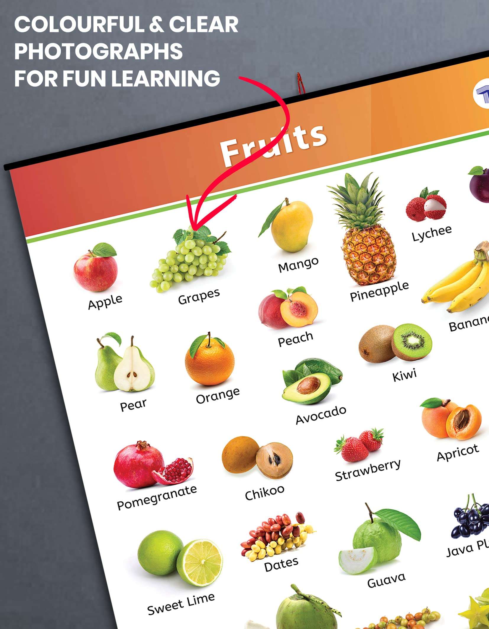 Jumbo Fruits Chart for Kids | My First Early Learning Educational Chart for Homeschooling, Kindergarten and Nursery Children | 39.25 x 27.25 in 6