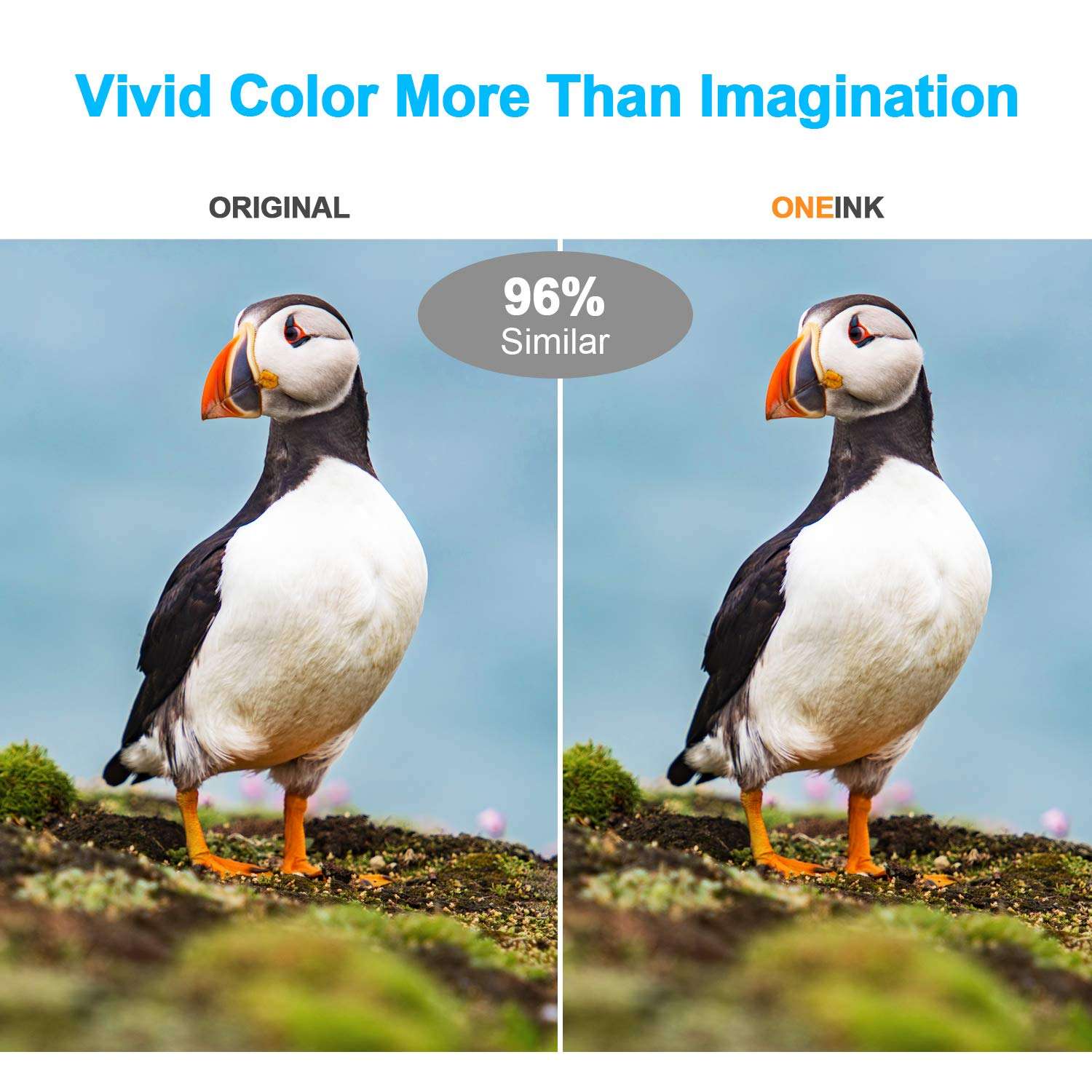 ONEINK Compatible Ink Cartridge Replacement for Canon PGI-280XXL CLI-281XXL PGI 280 XXL CLI 281 XXL for Canon PIXMA TS9120 TS8120 TS8220 TR8520 Printer, 6 Pack (1PGBK, 1BK,1B, 1C, 1M, 1Y) 3