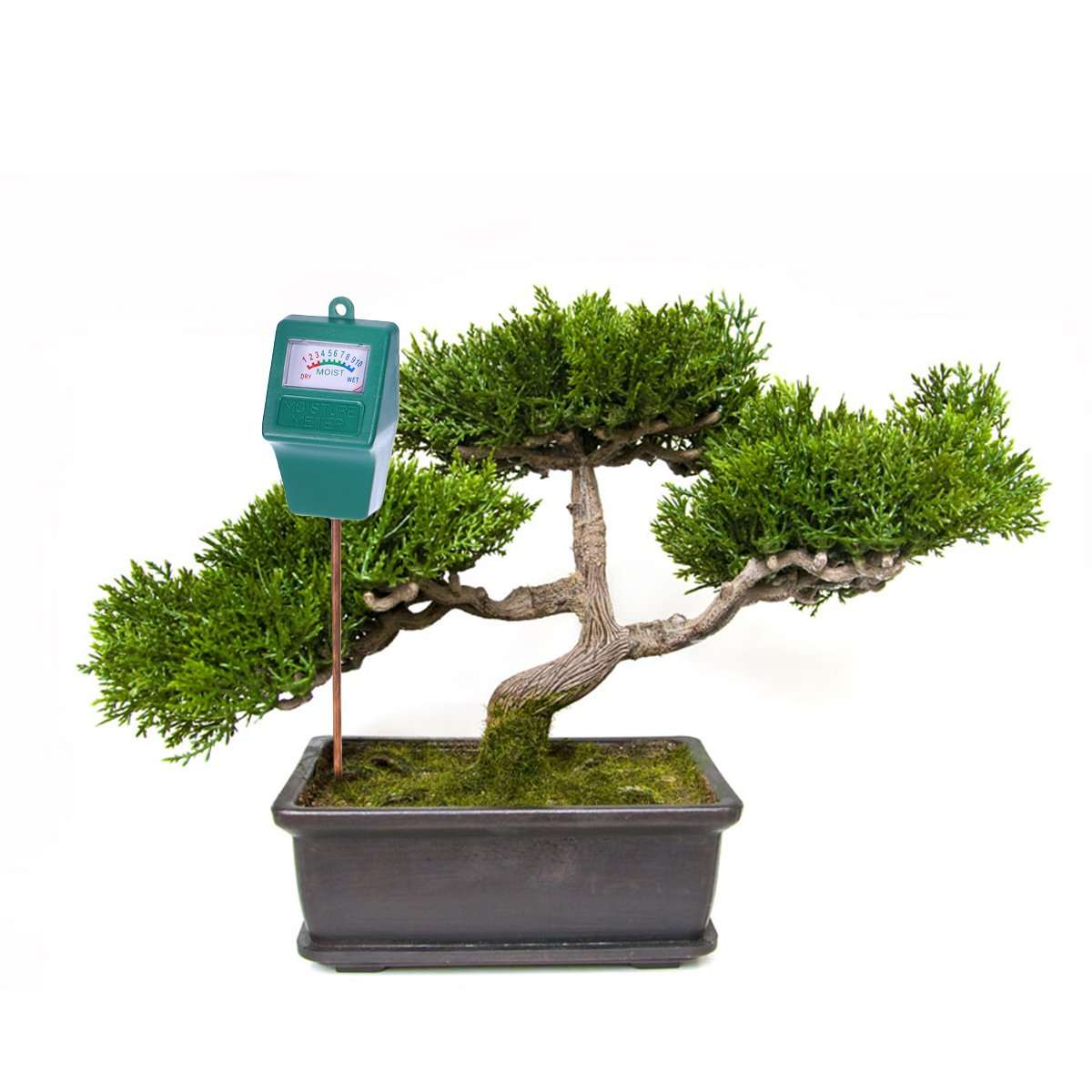 House Plants Sensor Meter,Soil Water Monitor Hygrometer Sensor for Garden Farm Lawn Plants Indoor Outdoor House Plants Indoors Live 4