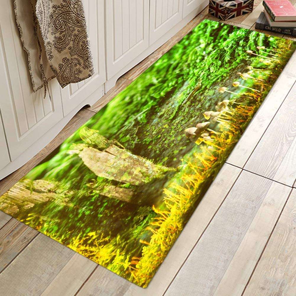 Indoor Door Mat, Super Absorbent Soft Non-Slip Non Slip Mat for Drying for Bathroom Bedroom, Kitchen(80 * 50cm) 6