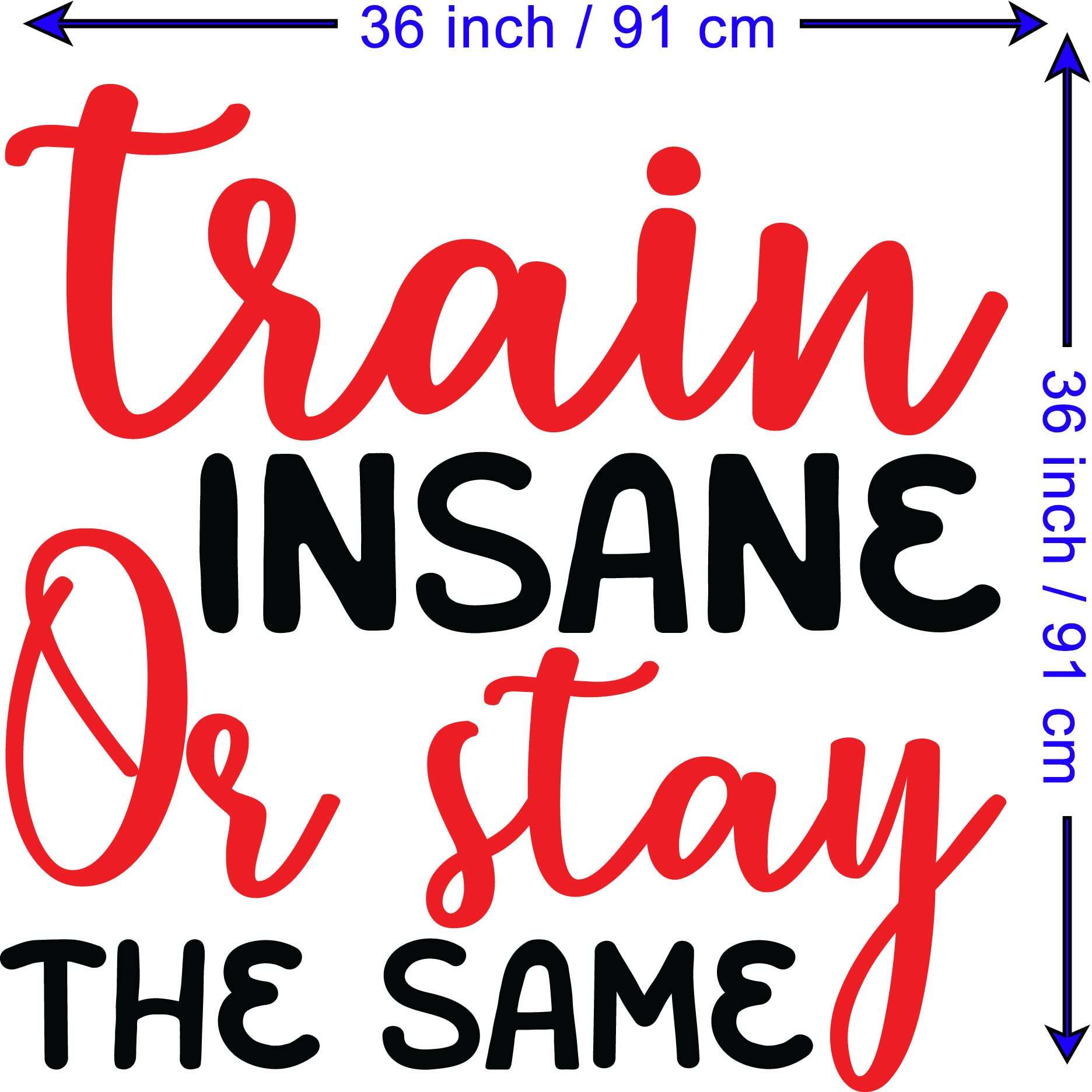 JVERF JBZ1266 Motivational Wall Sticker - Train Insane Or Stay The Same HD Self Adhesive Gym Fitness - Quotes Wall Sticker(BlackRed) [3 ft x 3 ft] / [91 cm x 91 cm] 4
