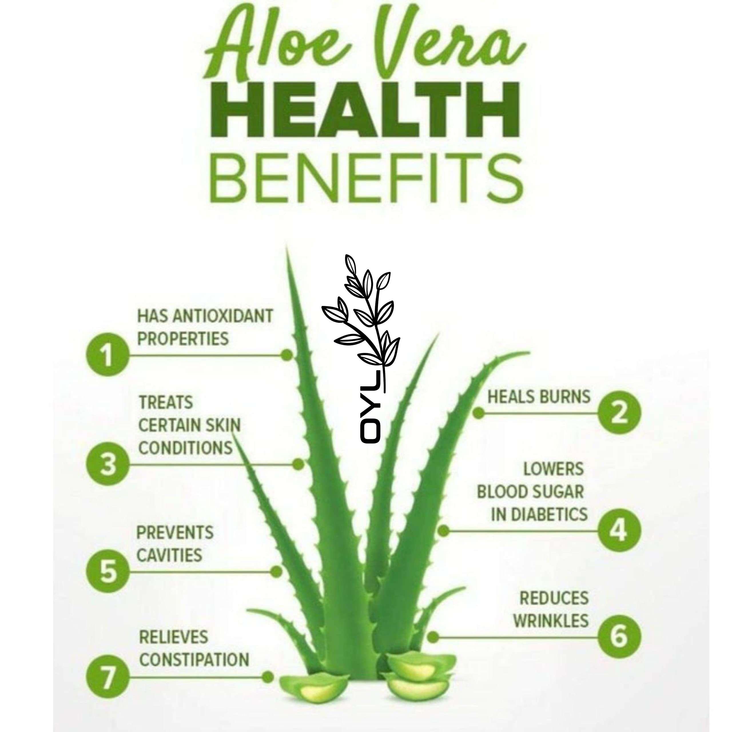 OYL Natural Jatamansi, Brahmi, reetha, Shikakai, Fenugreek, Hibiscus, Bhringraj, Mulethi, Amla, Aloe-Vera, Shikakai, Indigo & Henna Powder Combo Pack For Hair Care & Skin Care - 100g Each Pack Of 12 5