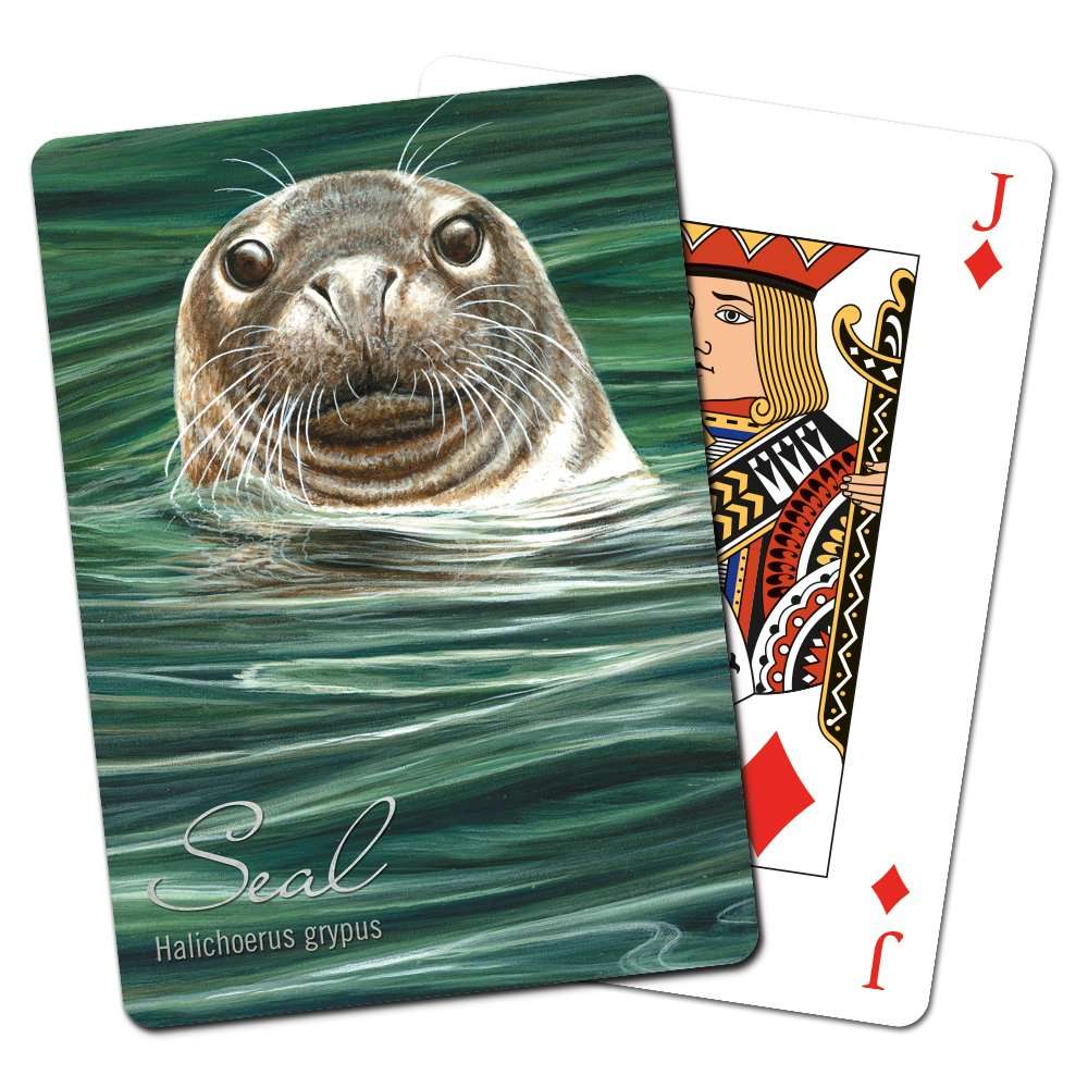 Tree-Free Greetings Deck of Playing Cards, 2.5 x 0.8 x 3.5 Inches, Seal (CD49727)