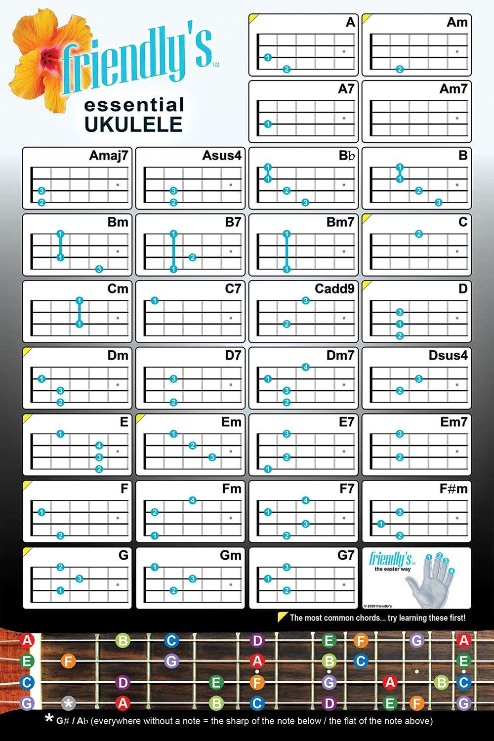 Ukulele Chord Chart | 6”x 9” Ukulele Cheat Sheet | Fretboard, Circle of Fifths, Progressions | Laminated Low Glare | Easy Reference Chord Chart 2