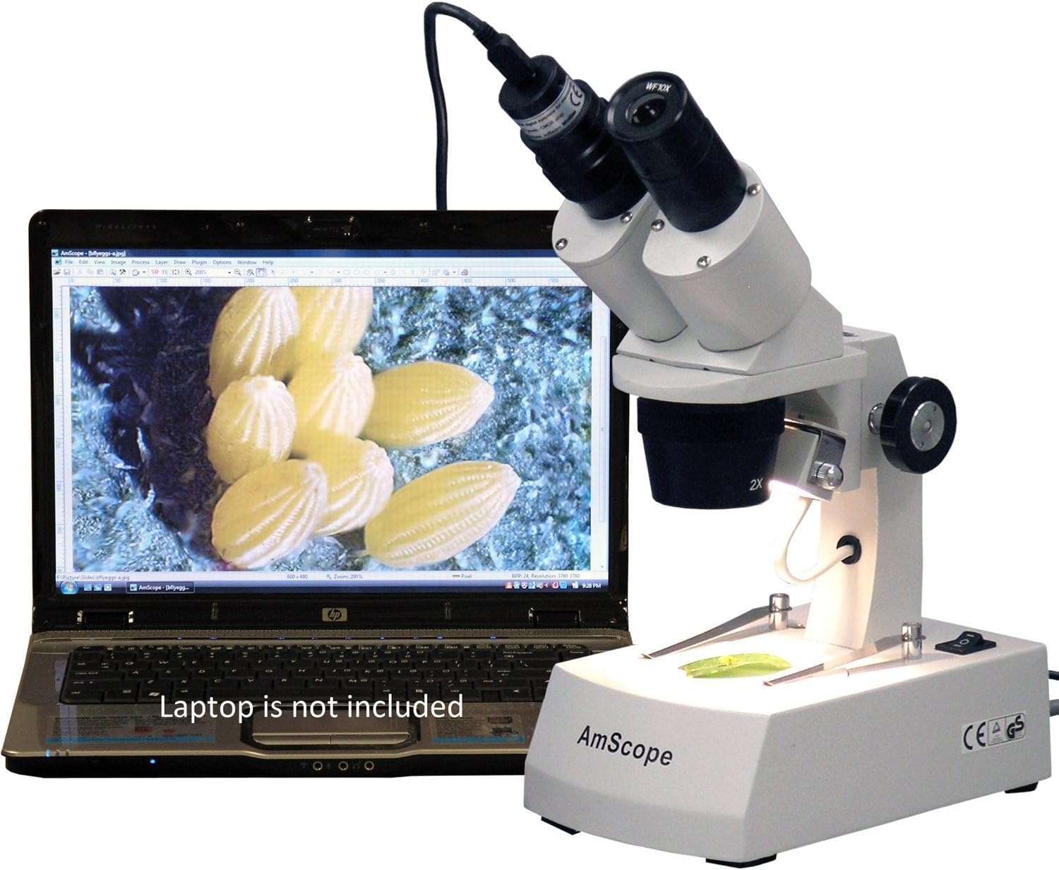 AmScope SE305R-A-E Digital Forward-Mounted Binocular Stereo Microscope, WF10x Eyepieces, 10X/30X Magnification, 1X and 3X Objectives, Upper and Lower Halogen Light Source, Arm Stand, 120V, Includes 0.3MP Camera and Software 4