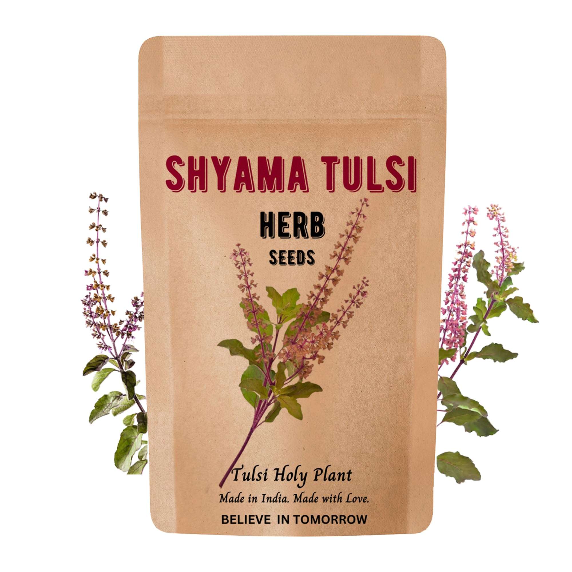 Rama & Shyama Tulsi Seeds for Planting | Tulsi Holi Plant Seeds for Gardening | Indian Tulsi Plant Seeds for Home Gardening & Planting Pack of 2 4