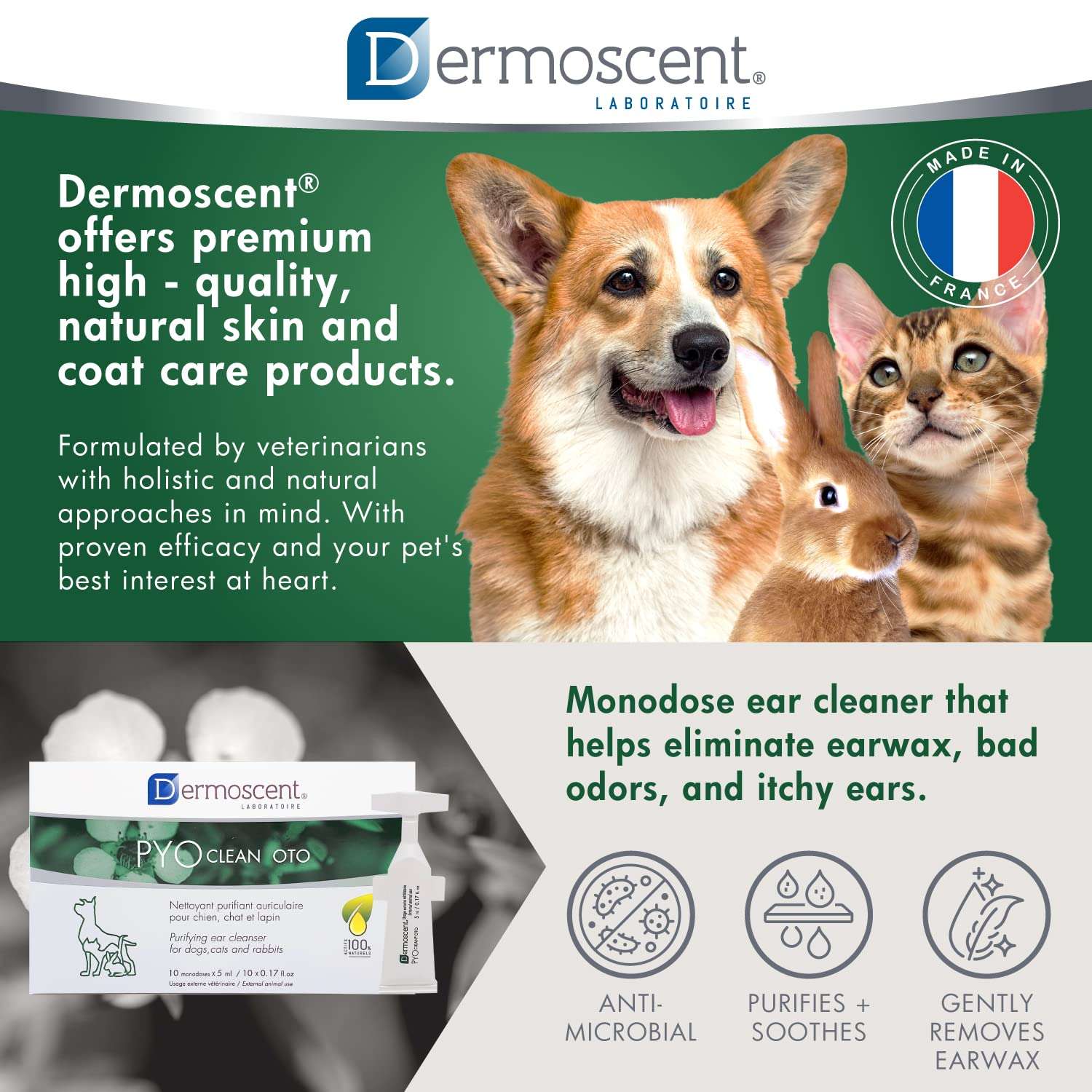 Dermoscent Pyoclean OTO Dog Ear Cleaner - Drops to Stop Head Shaking, Itchy & Waxy Ears - Non-Toxic - Ear Cleaning Solution for Dogs 6