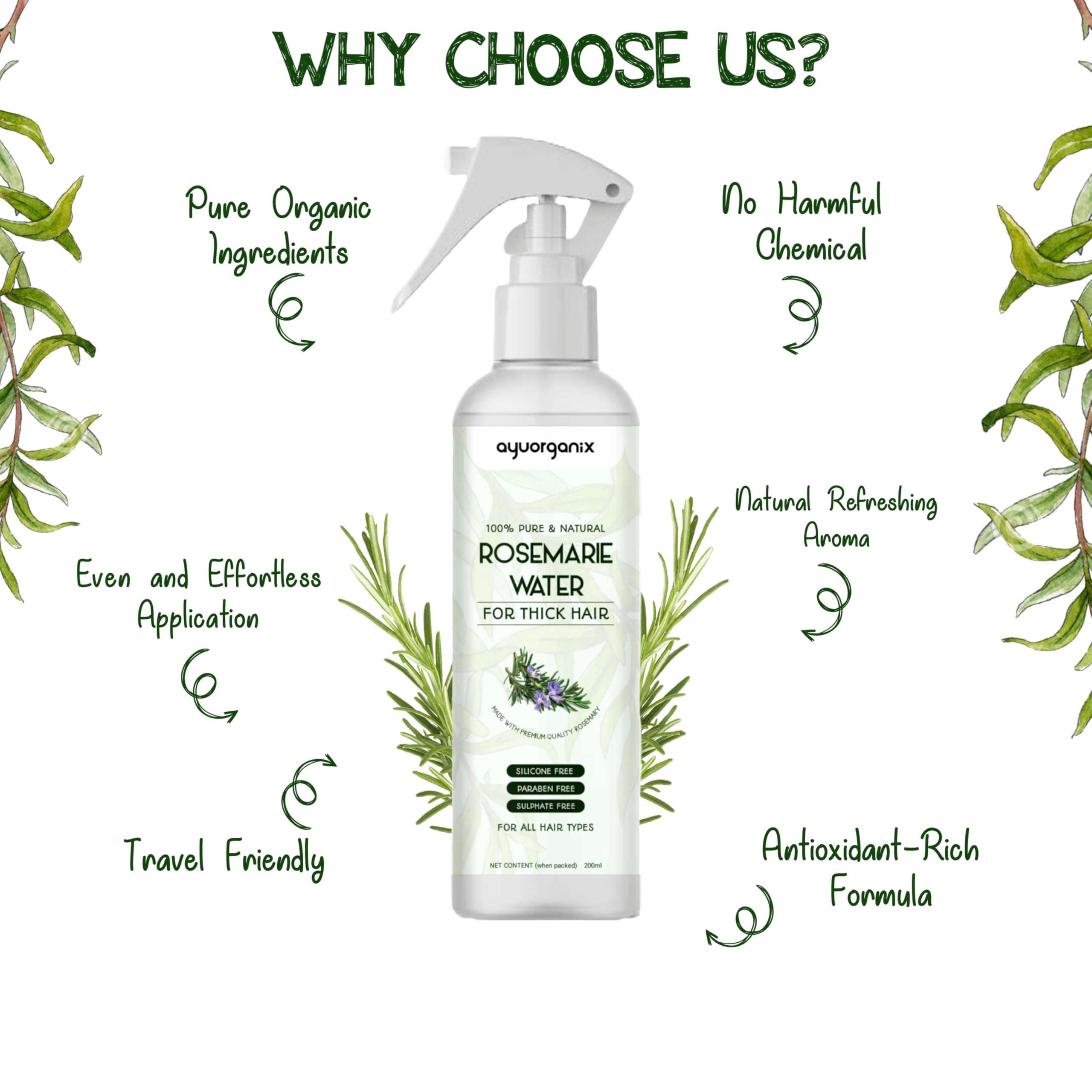 AYUORGANIX Rosemary Water 200ml – 100% Natural Hair Growth Spray for Stronger Roots & Scalp Health 6