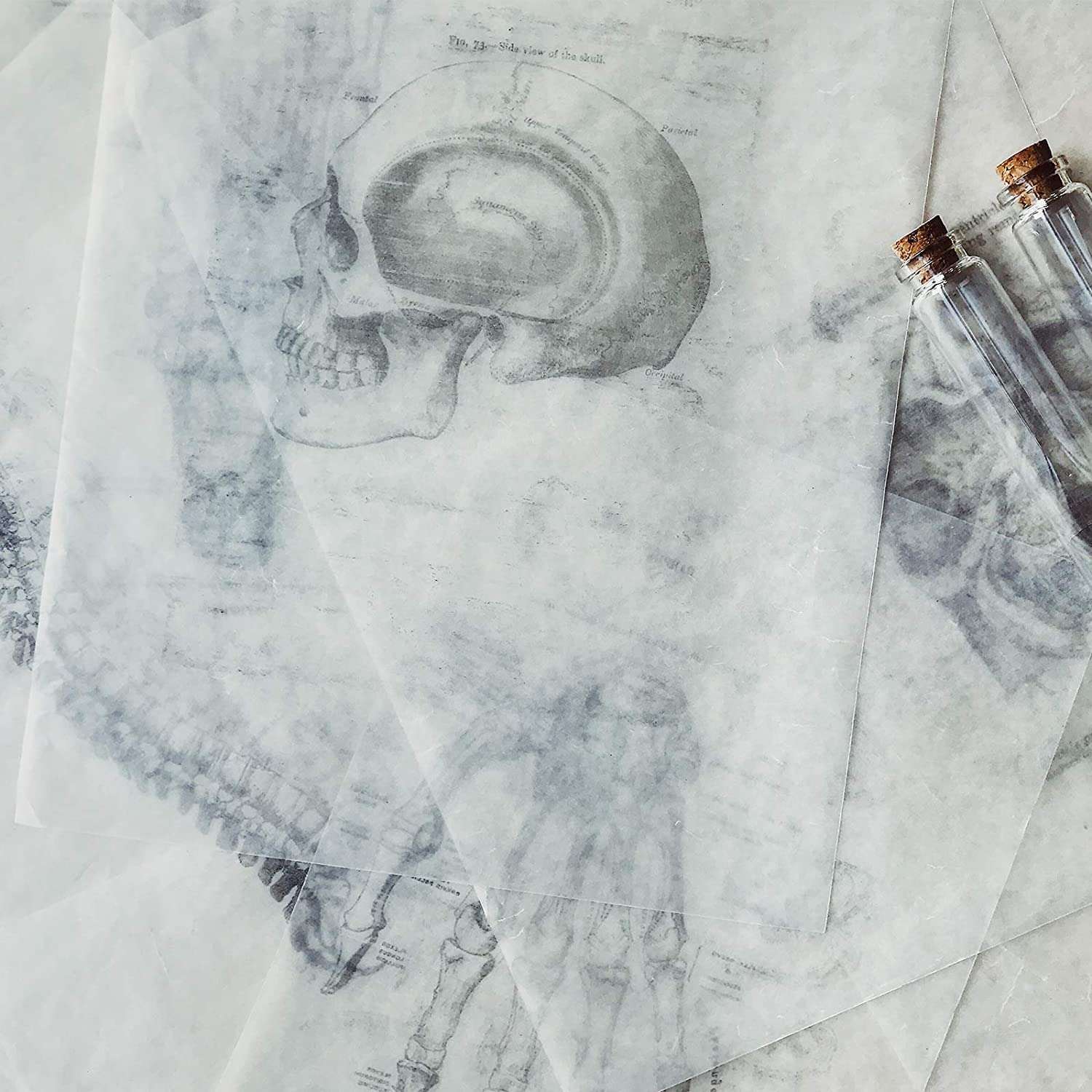 AIEX 50 Sheet 11 x 8.5 Inch Translucent Vellum Paper, Clear Tracing Vellum Sheet, Printable Vellum Drafting Paper for Art Printing Sketching Drawing Scrapbooking 6