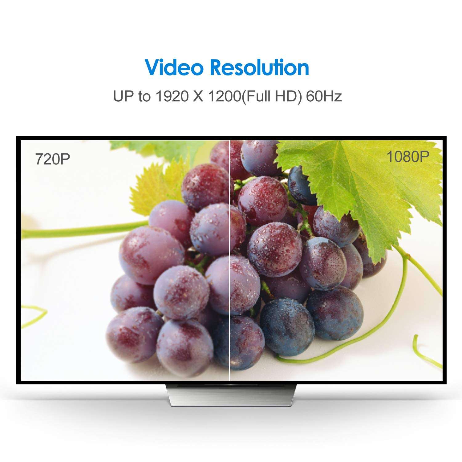 Rankie DVI to DVI Cable, Compatible with Television, 6 Feet (Black) 6