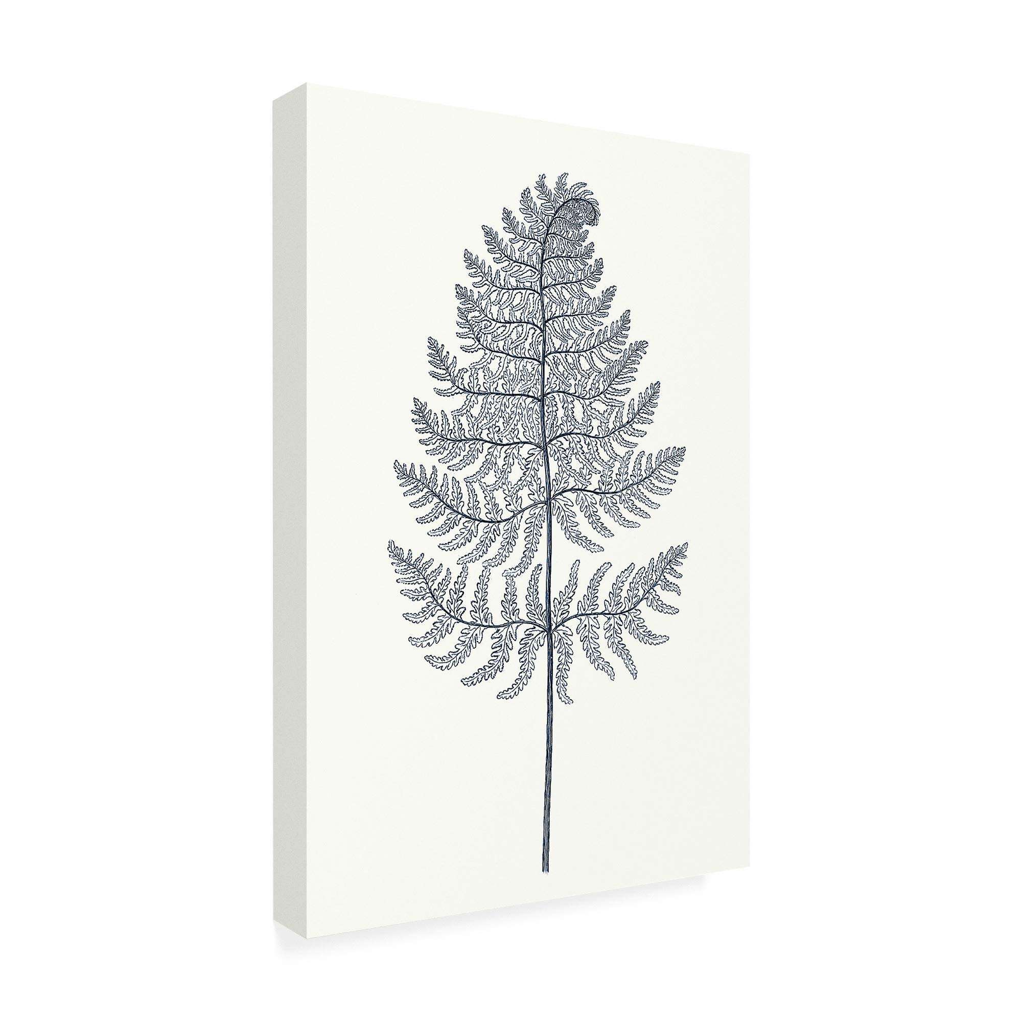 Trademark Fine Art Indigo Botany Study VIII by Vision Studio, 22x32, Multiple 2